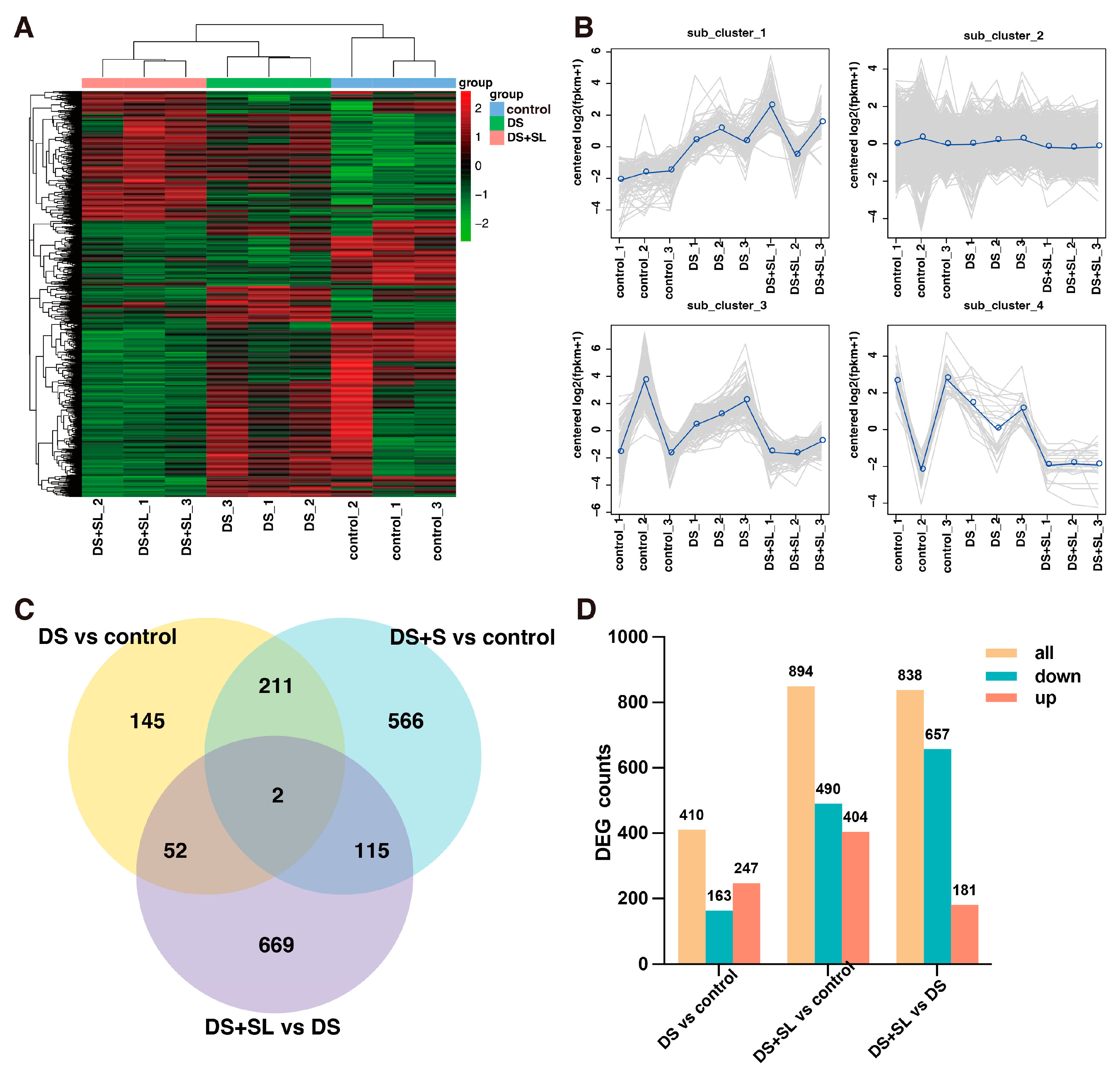 Antioxidants 12 02019 g004