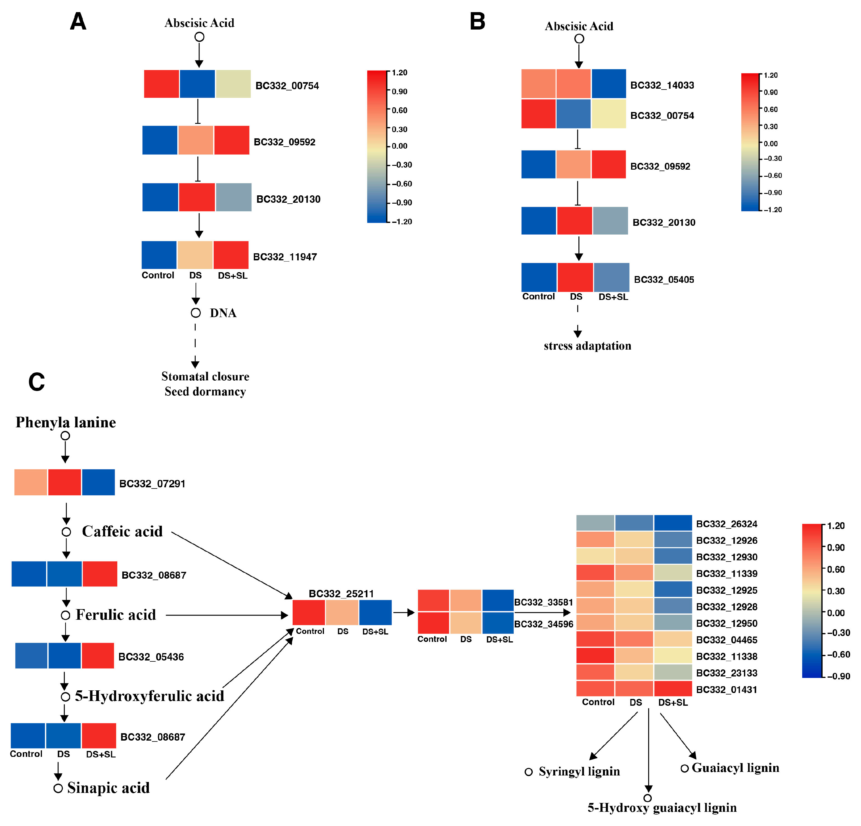 Antioxidants 12 02019 g005
