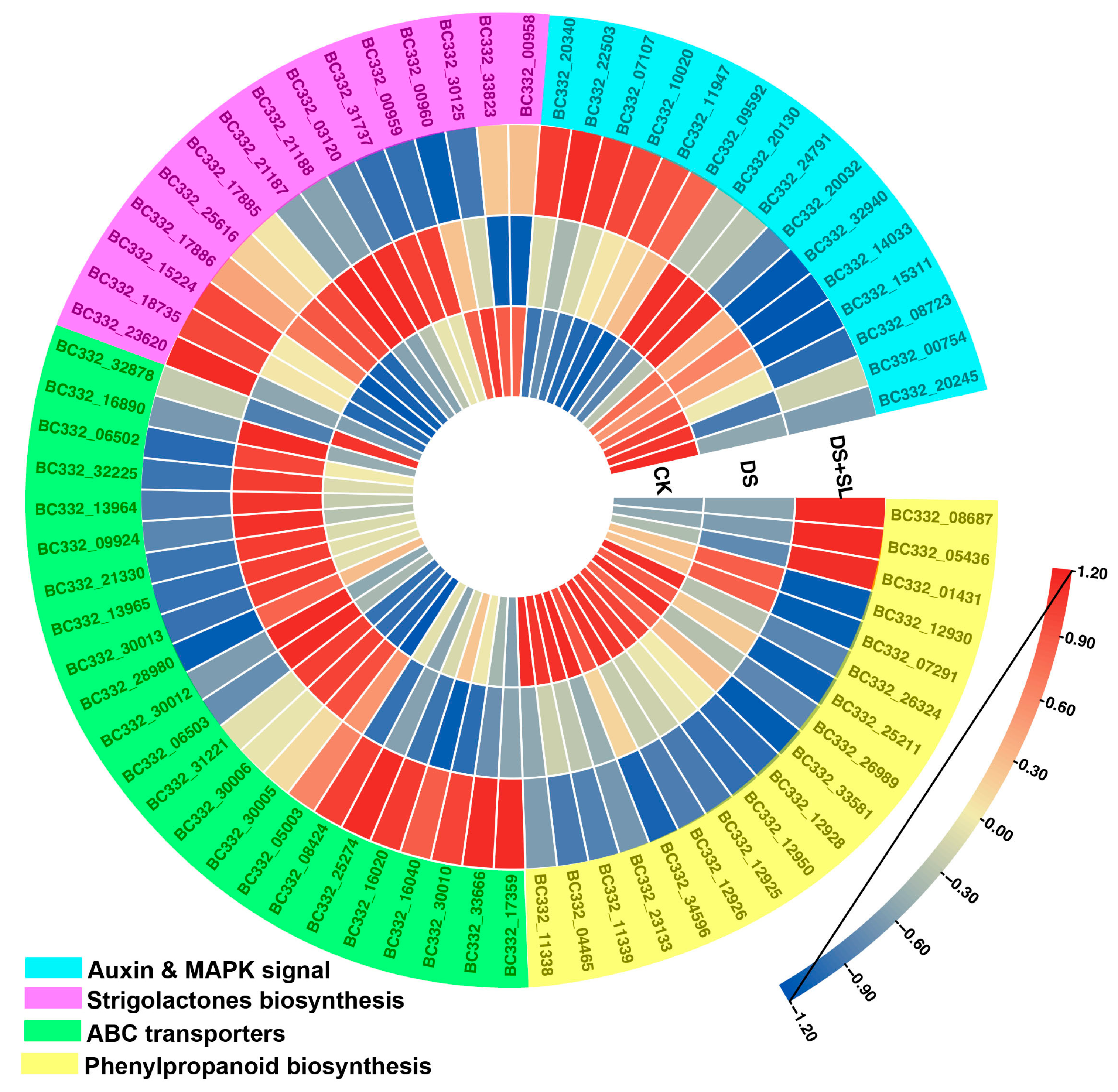 Antioxidants 12 02019 g006