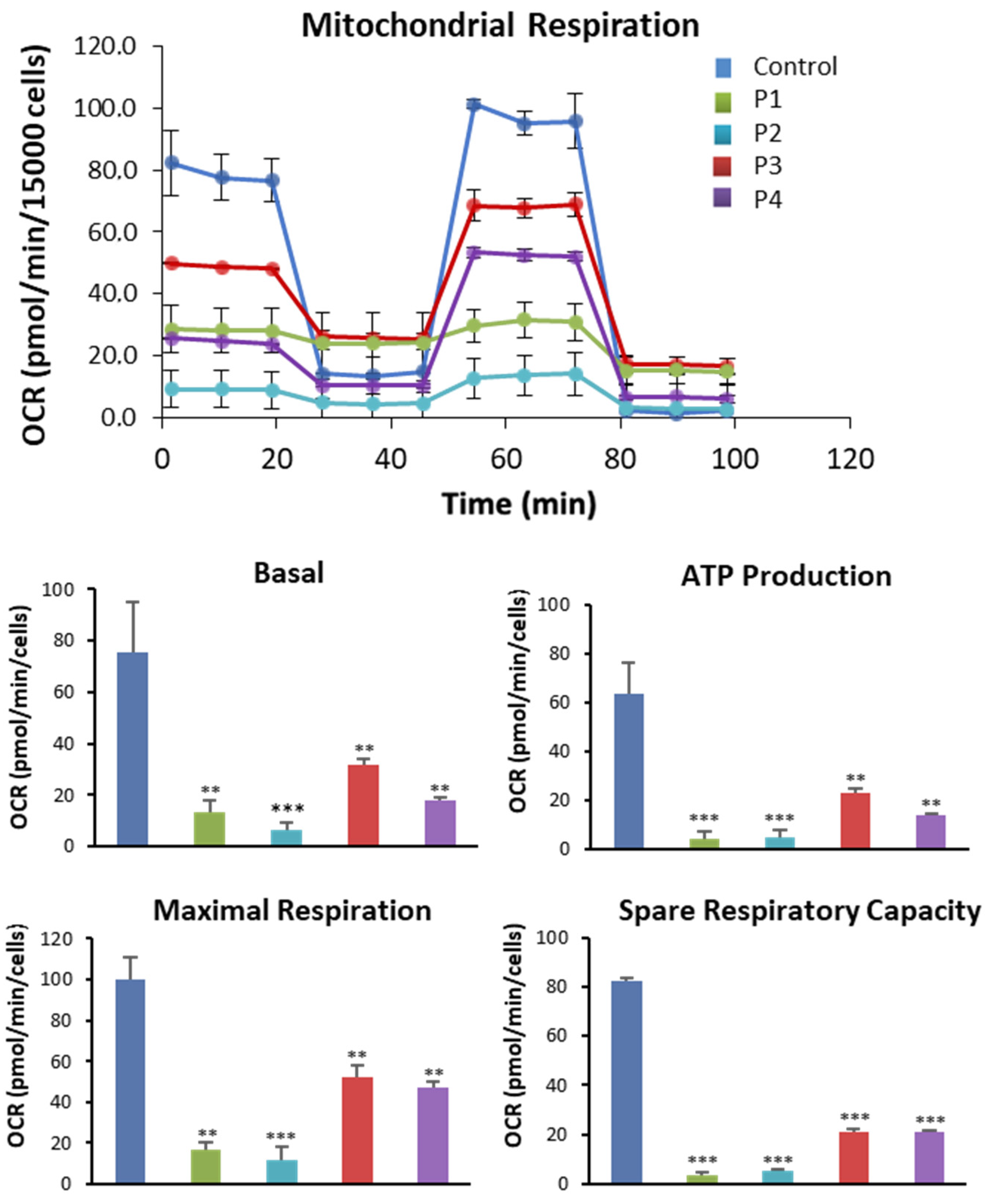 Antioxidants 12 02023 g007