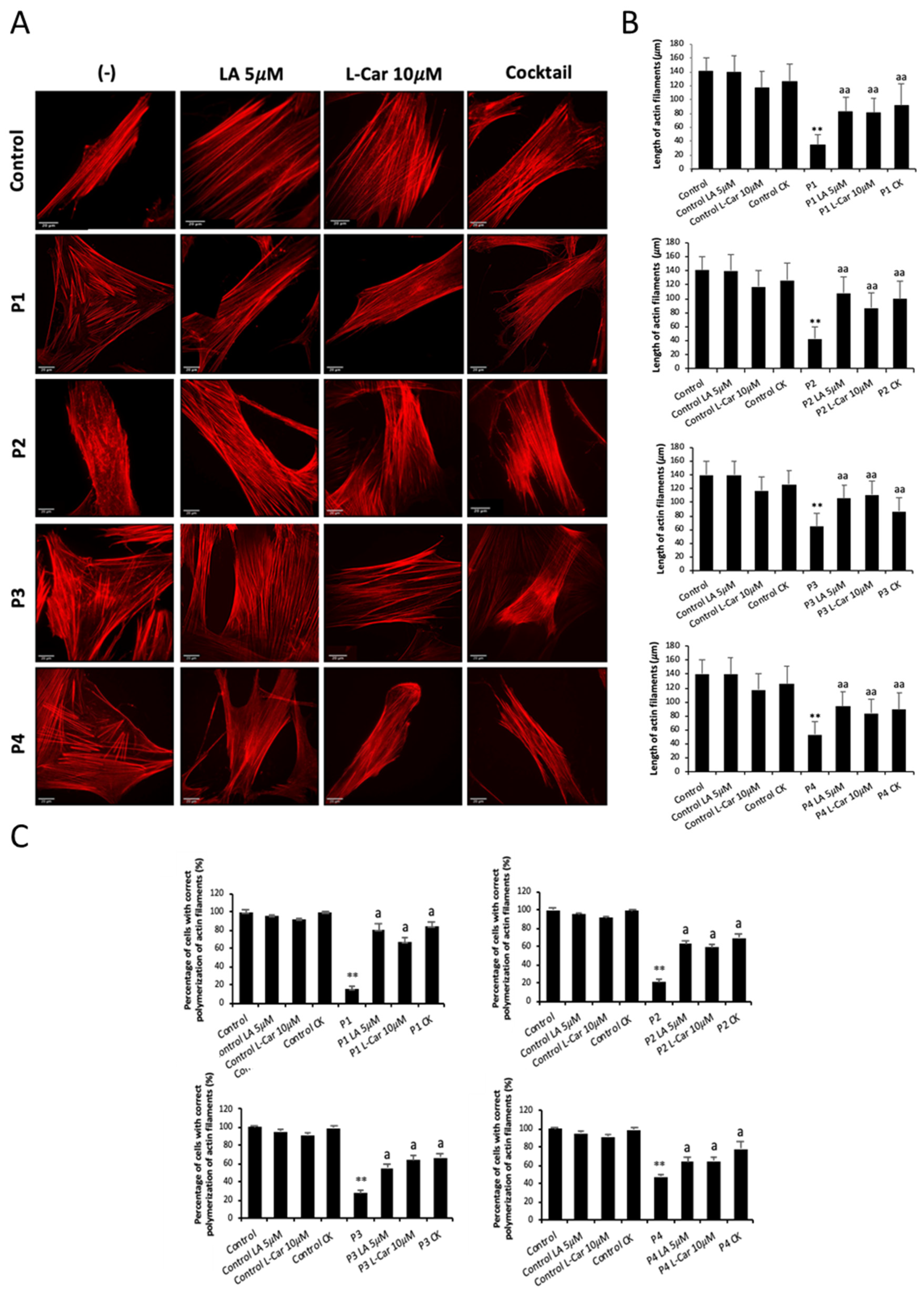 Antioxidants 12 02023 g011