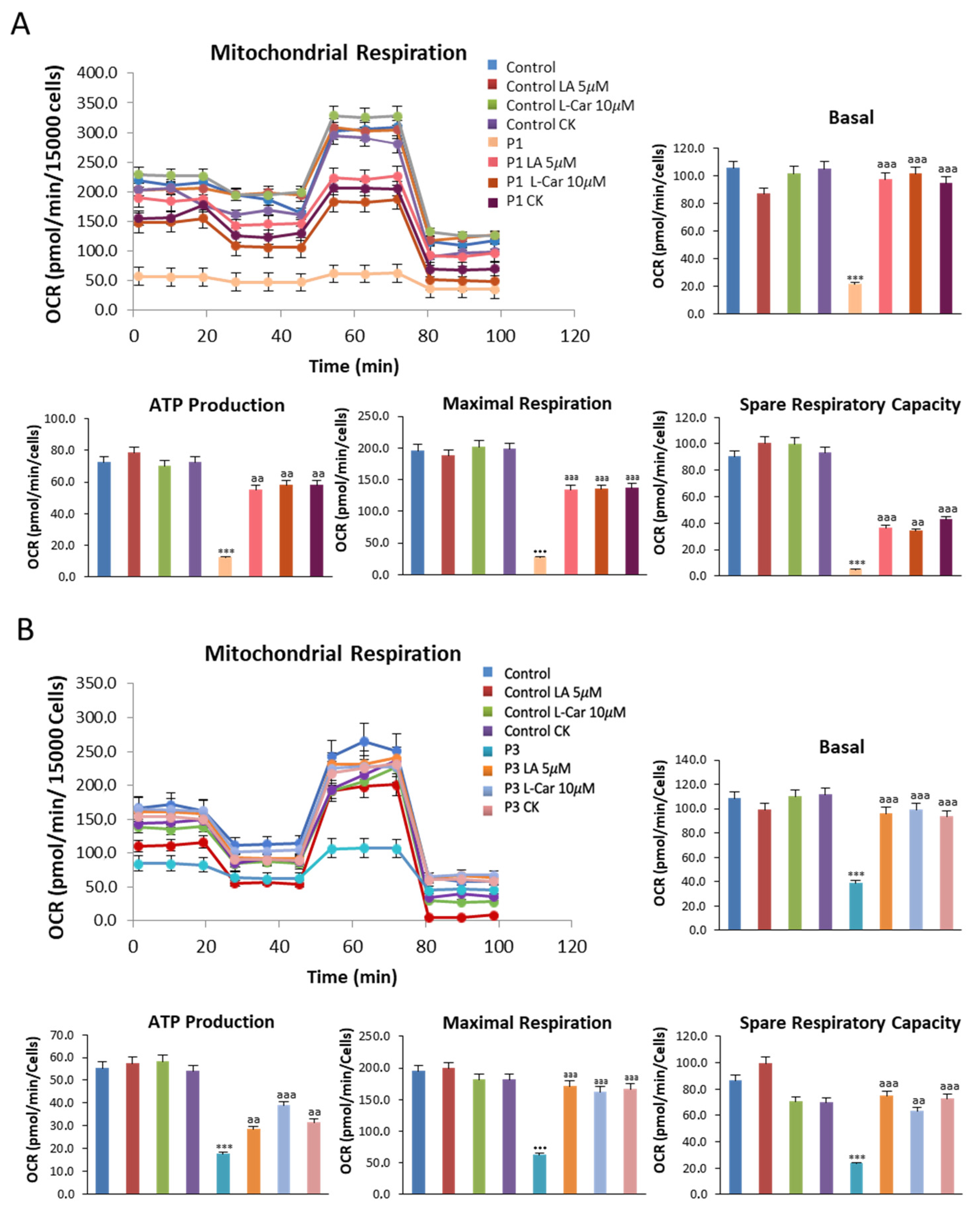 Antioxidants 12 02023 g012