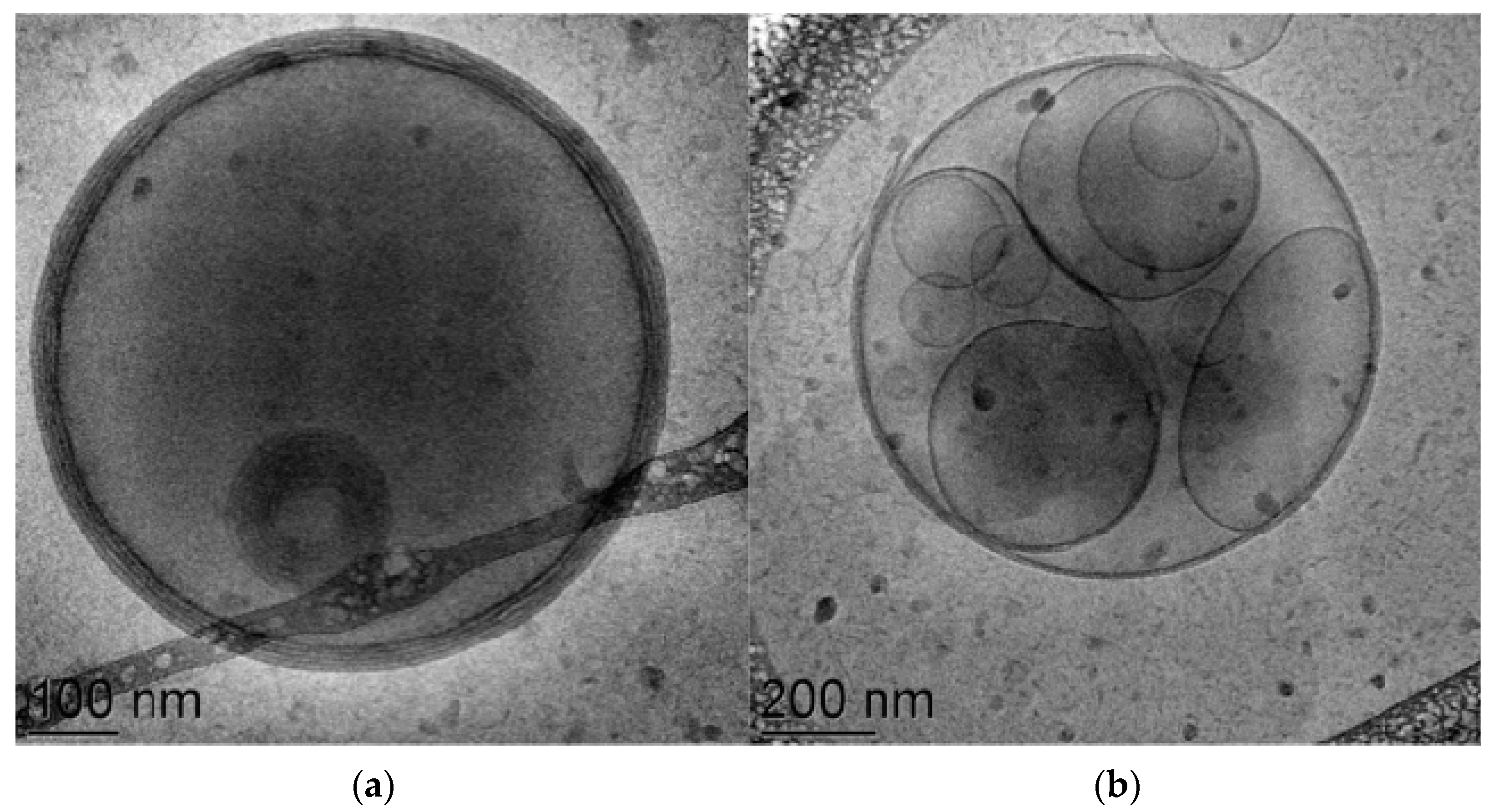 Antioxidants 12 02025 g001