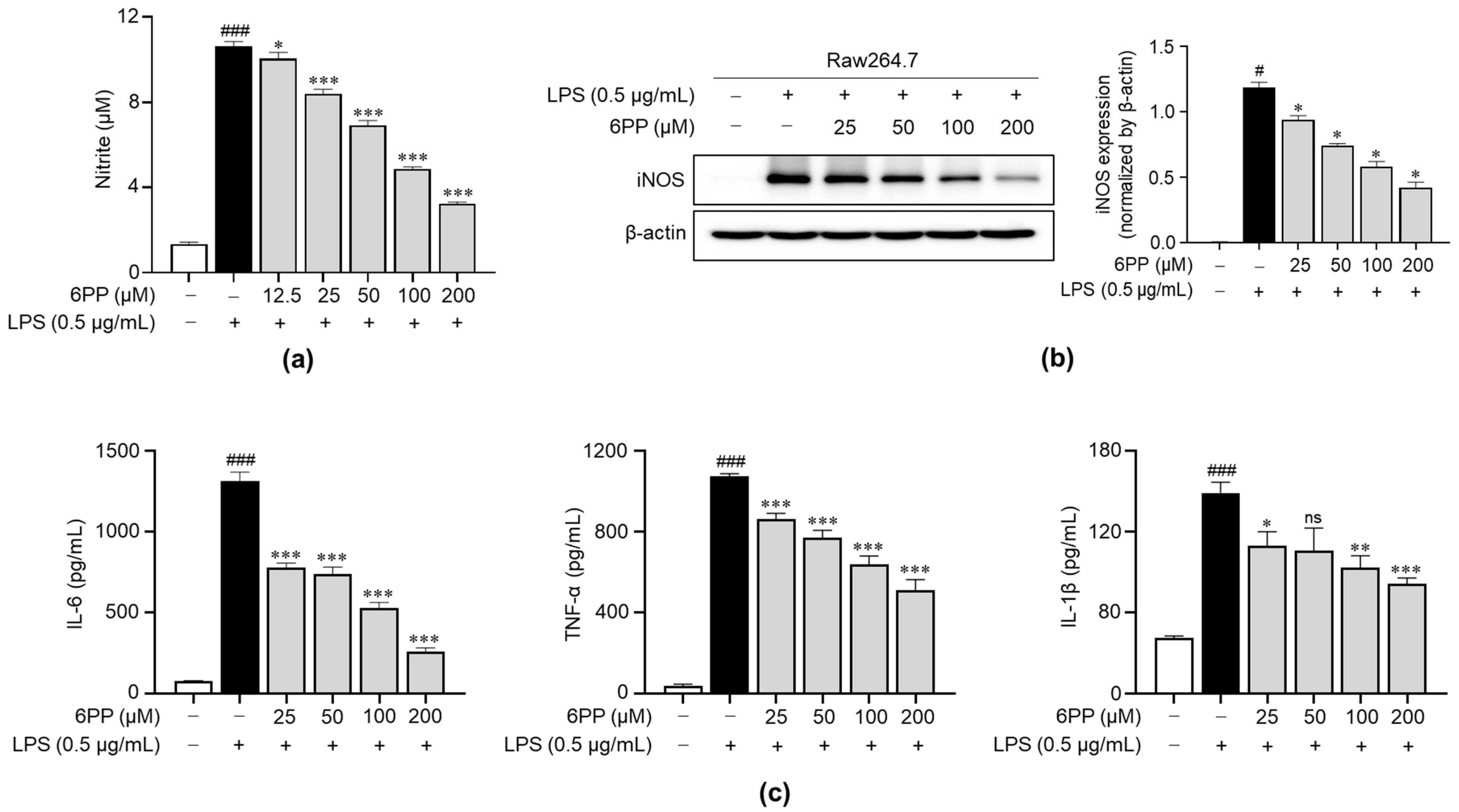 Antioxidants 12 02028 g003