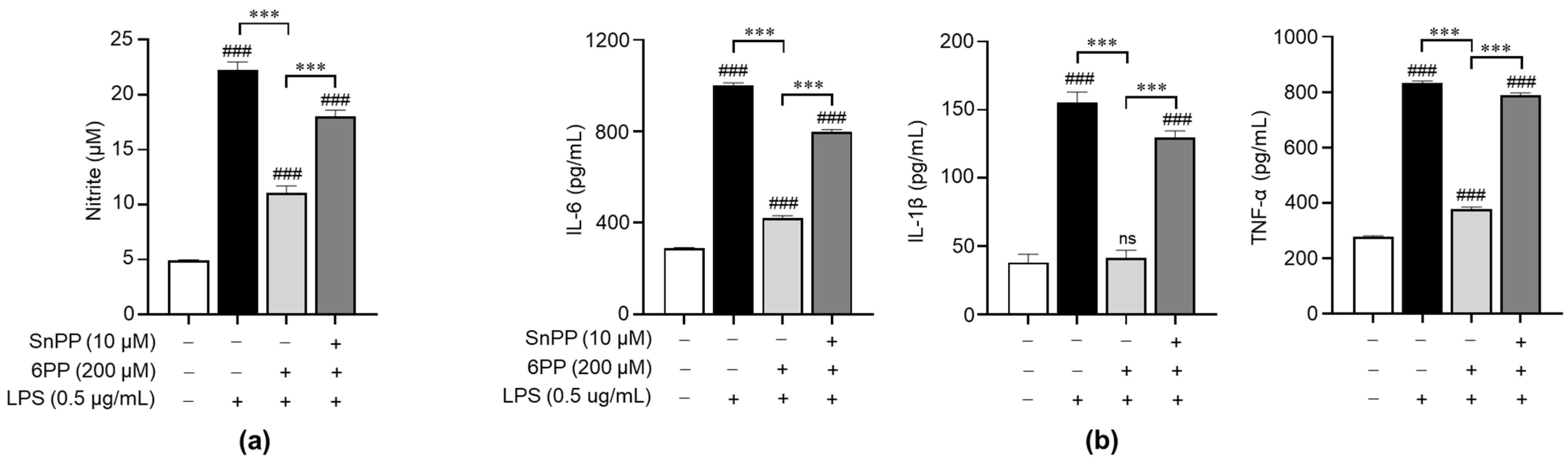 Antioxidants 12 02028 g004