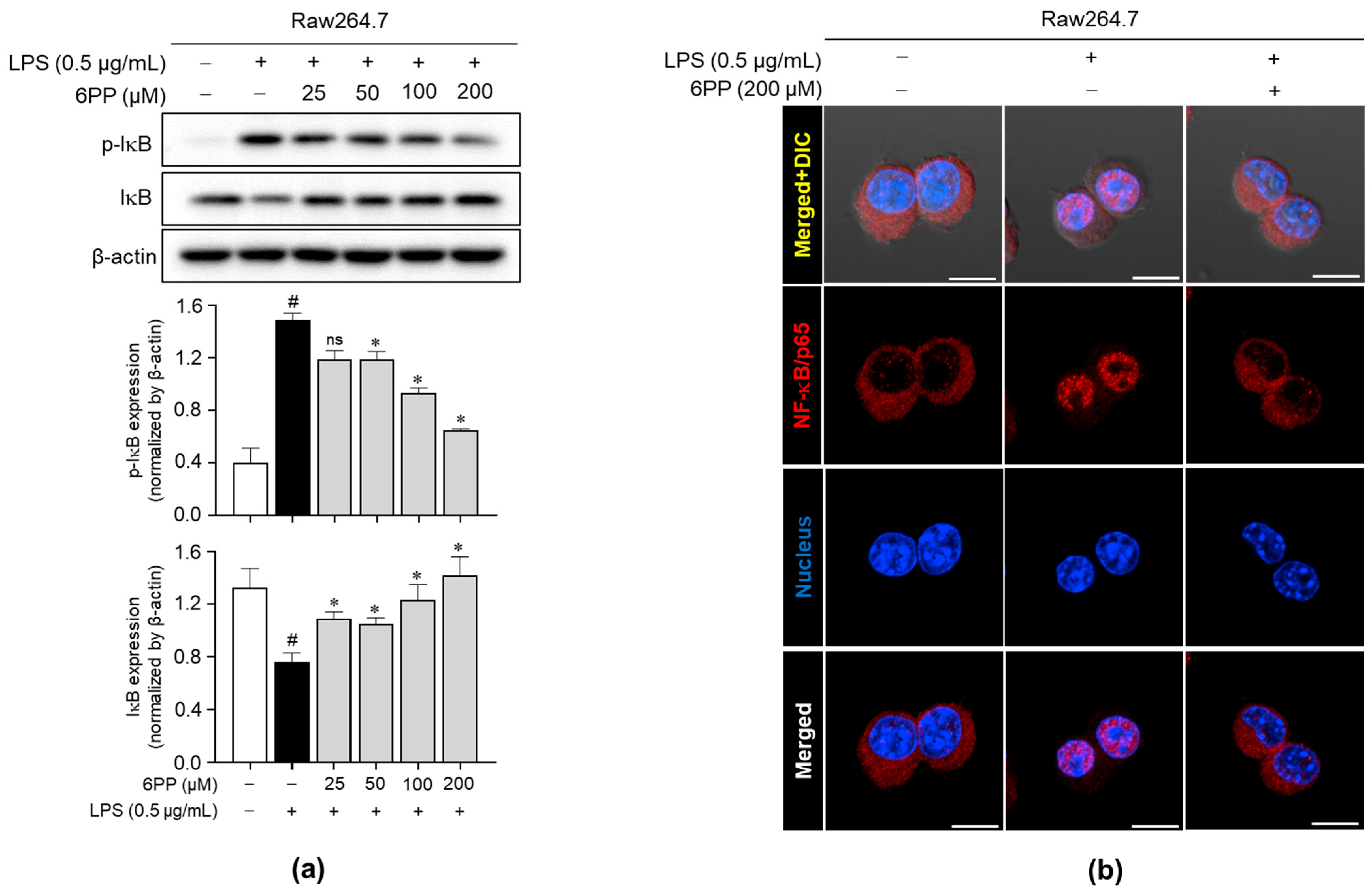 Antioxidants 12 02028 g006