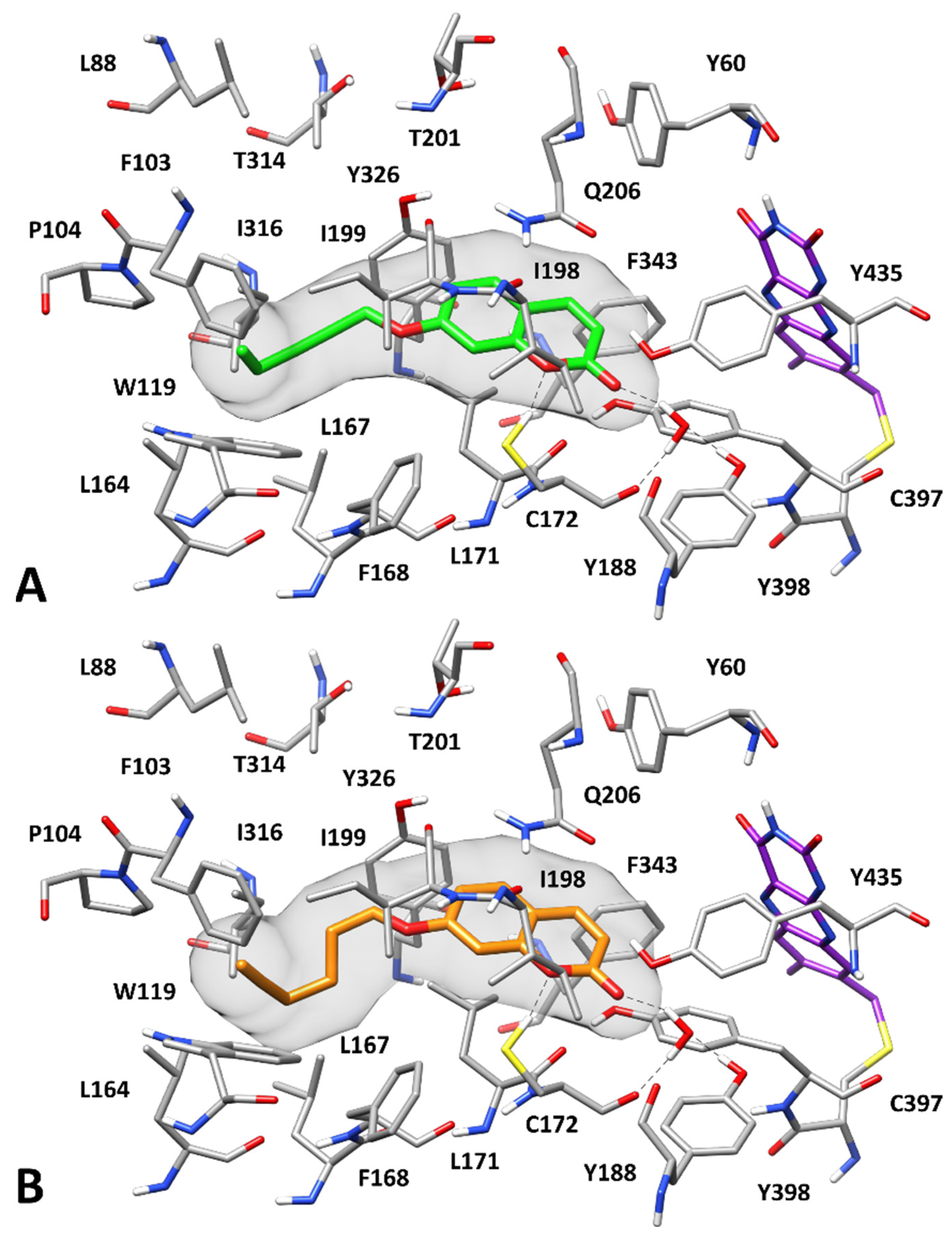 Antioxidants 12 02044 g003