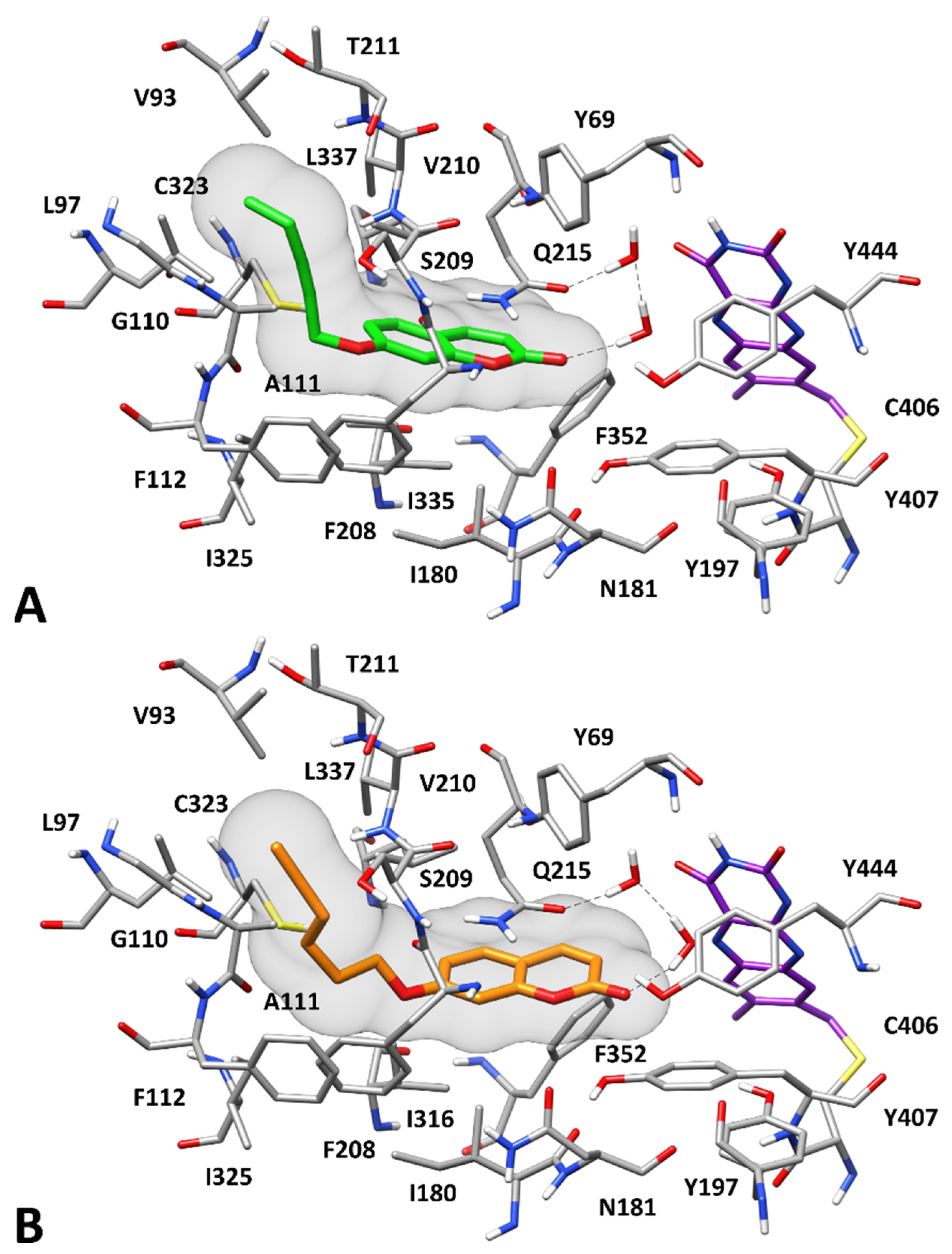 Antioxidants 12 02044 g004