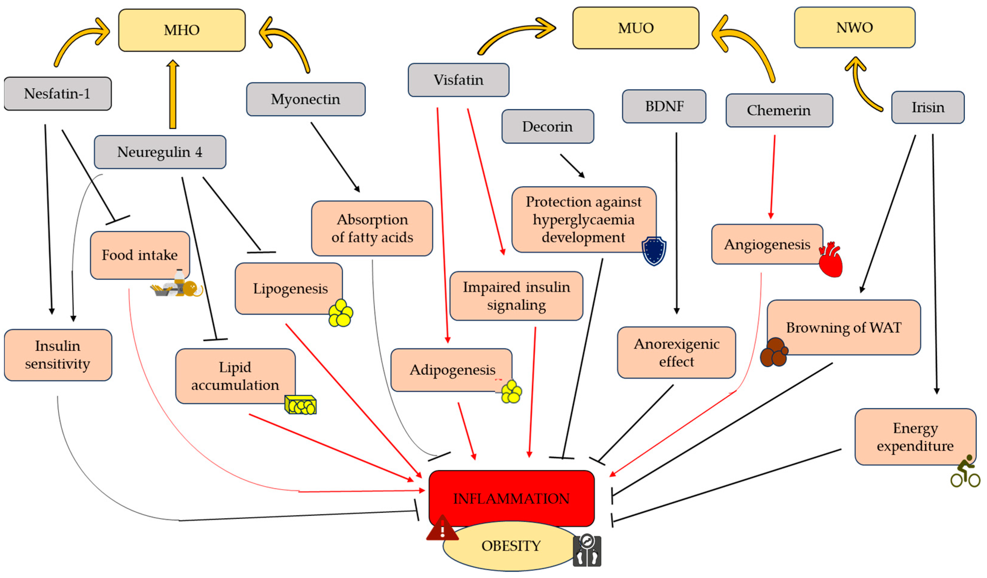 Antioxidants 12 02046 g001
