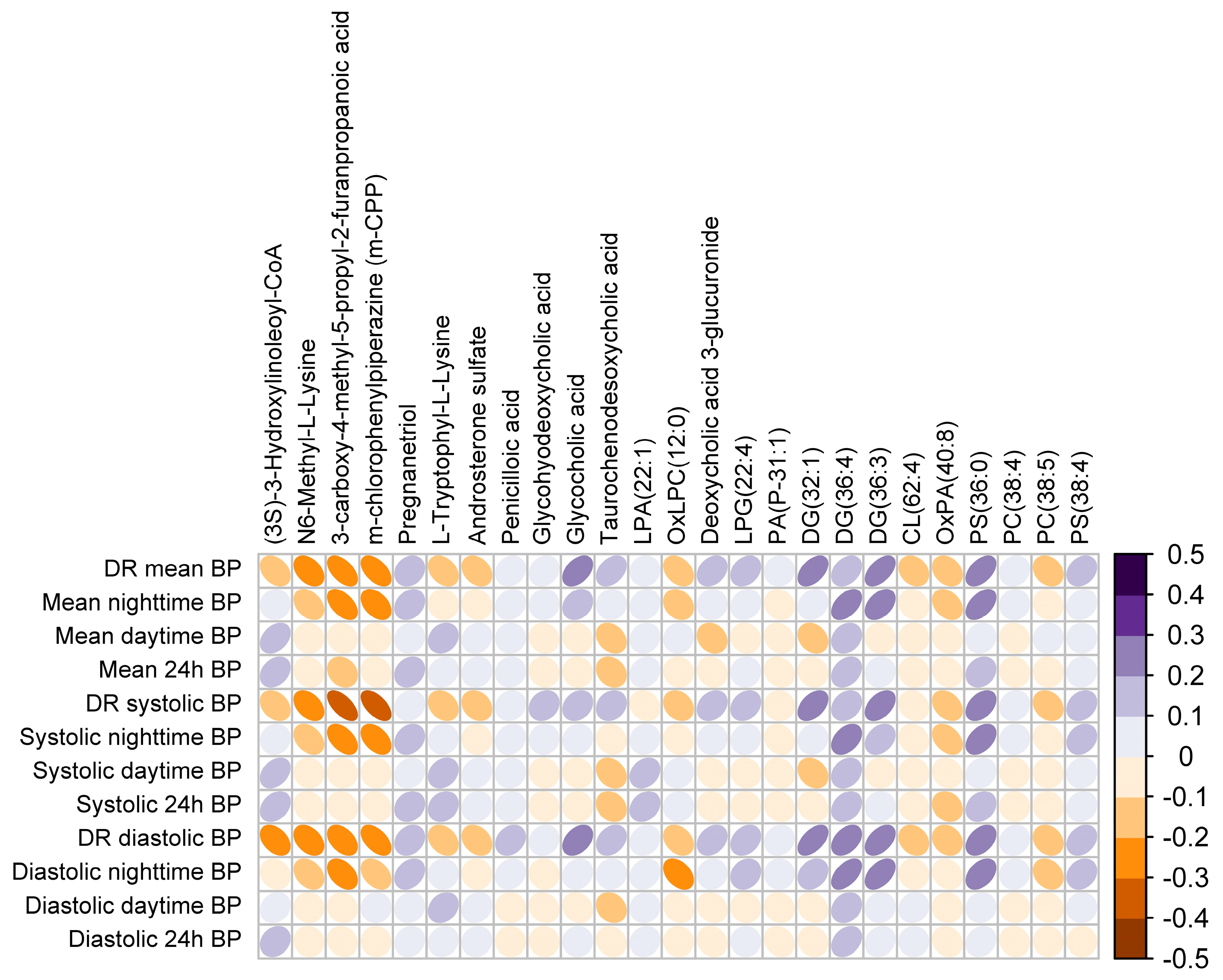 Antioxidants 12 02047 g003