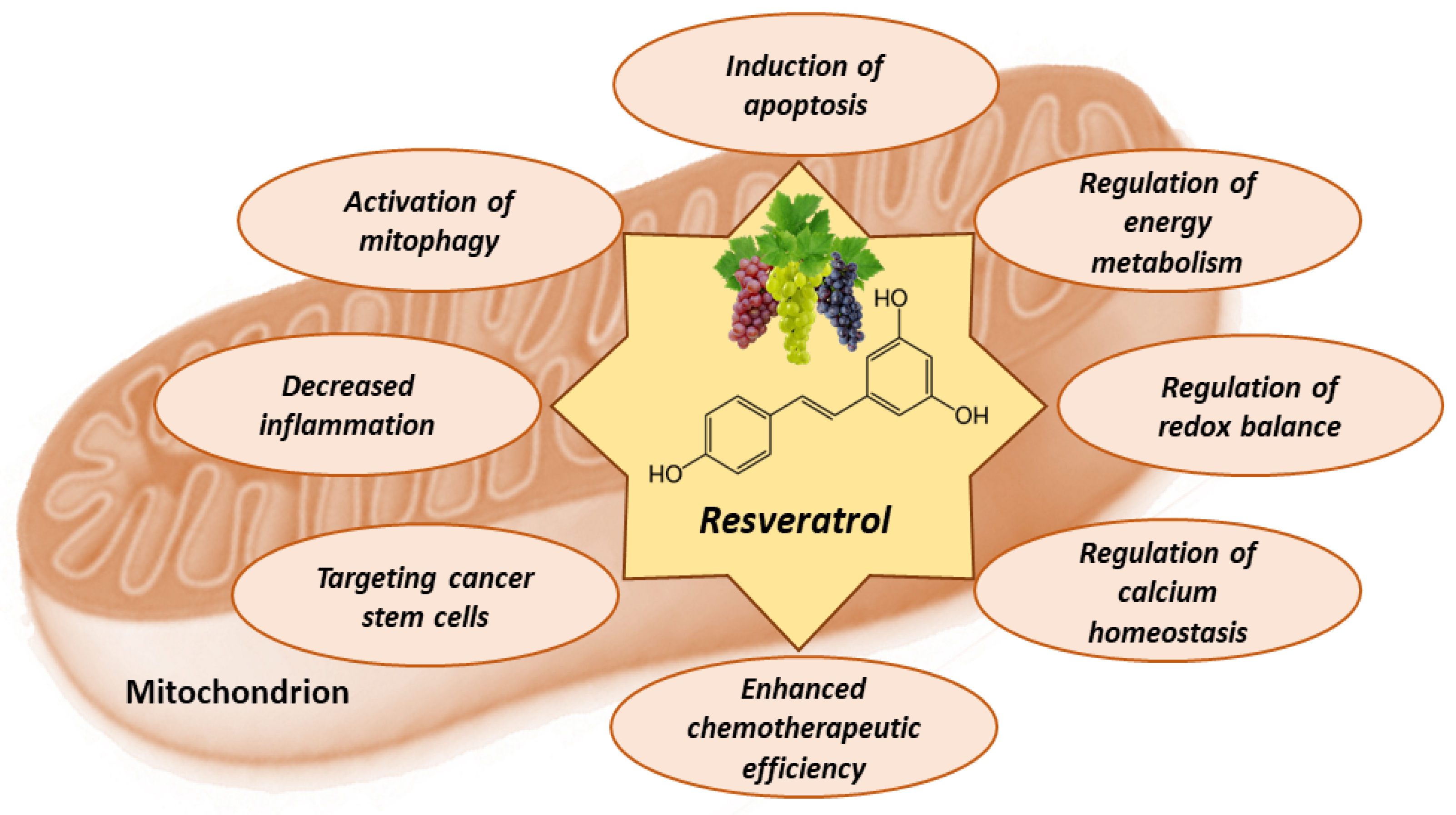Antioxidants 12 02056 g004