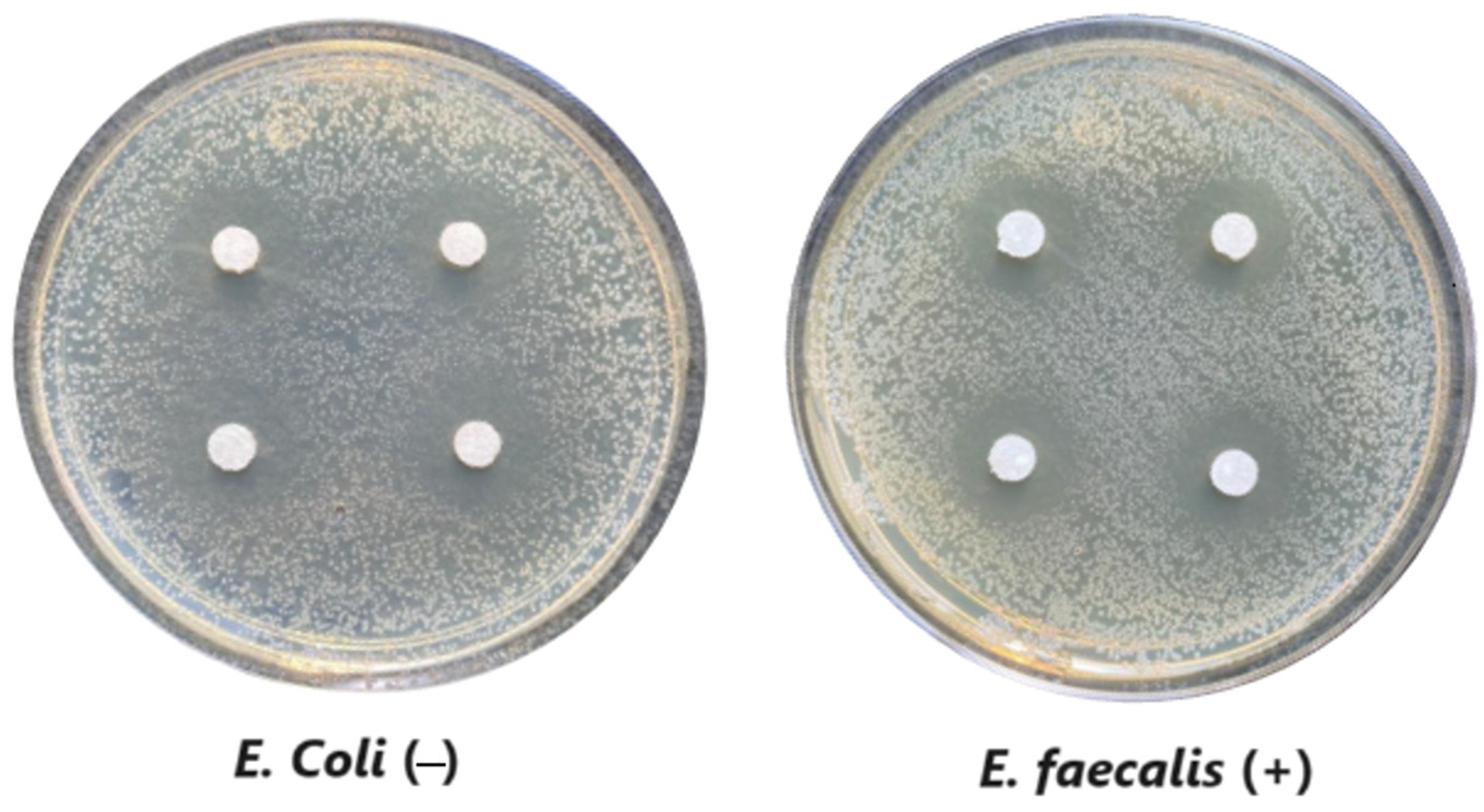 Antioxidants 12 02057 g007