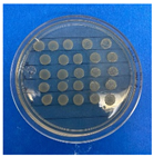 Antioxidants 12 02057 i001