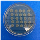 Antioxidants 12 02057 i003