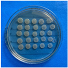 Antioxidants 12 02057 i007