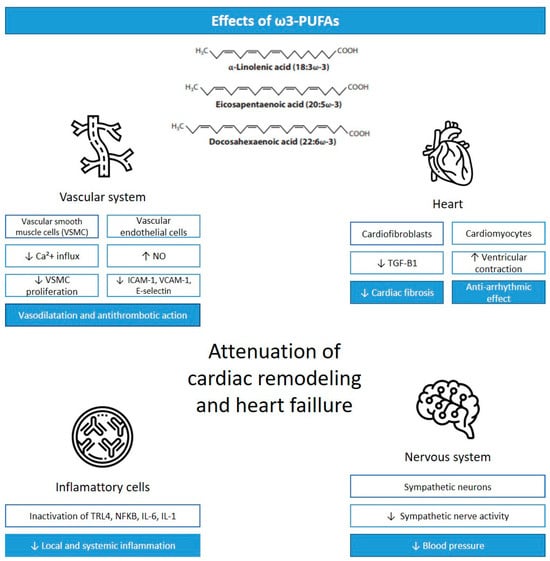 Antioxidants 12 02067 g001