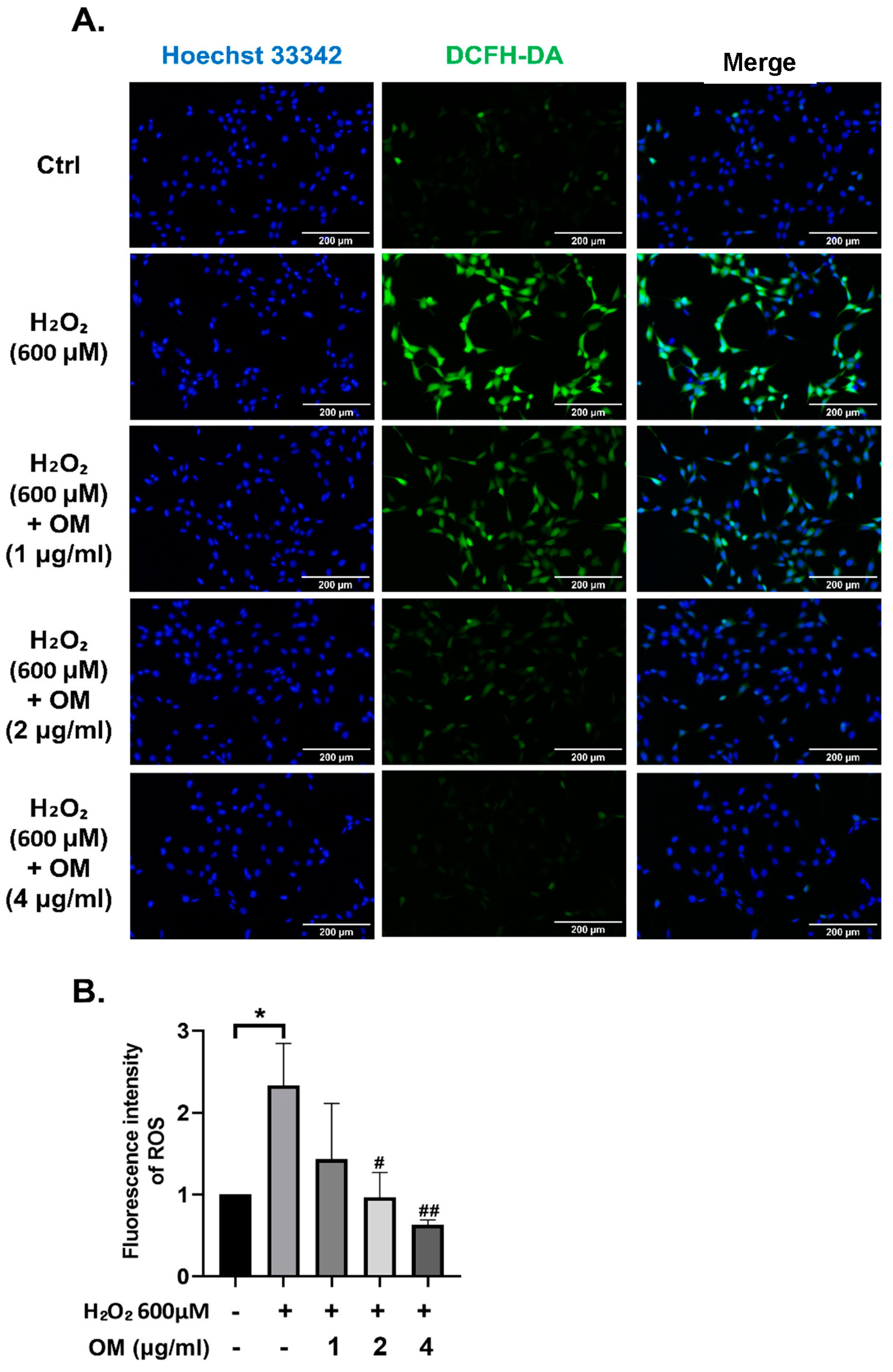 Antioxidants 12 02078 g002