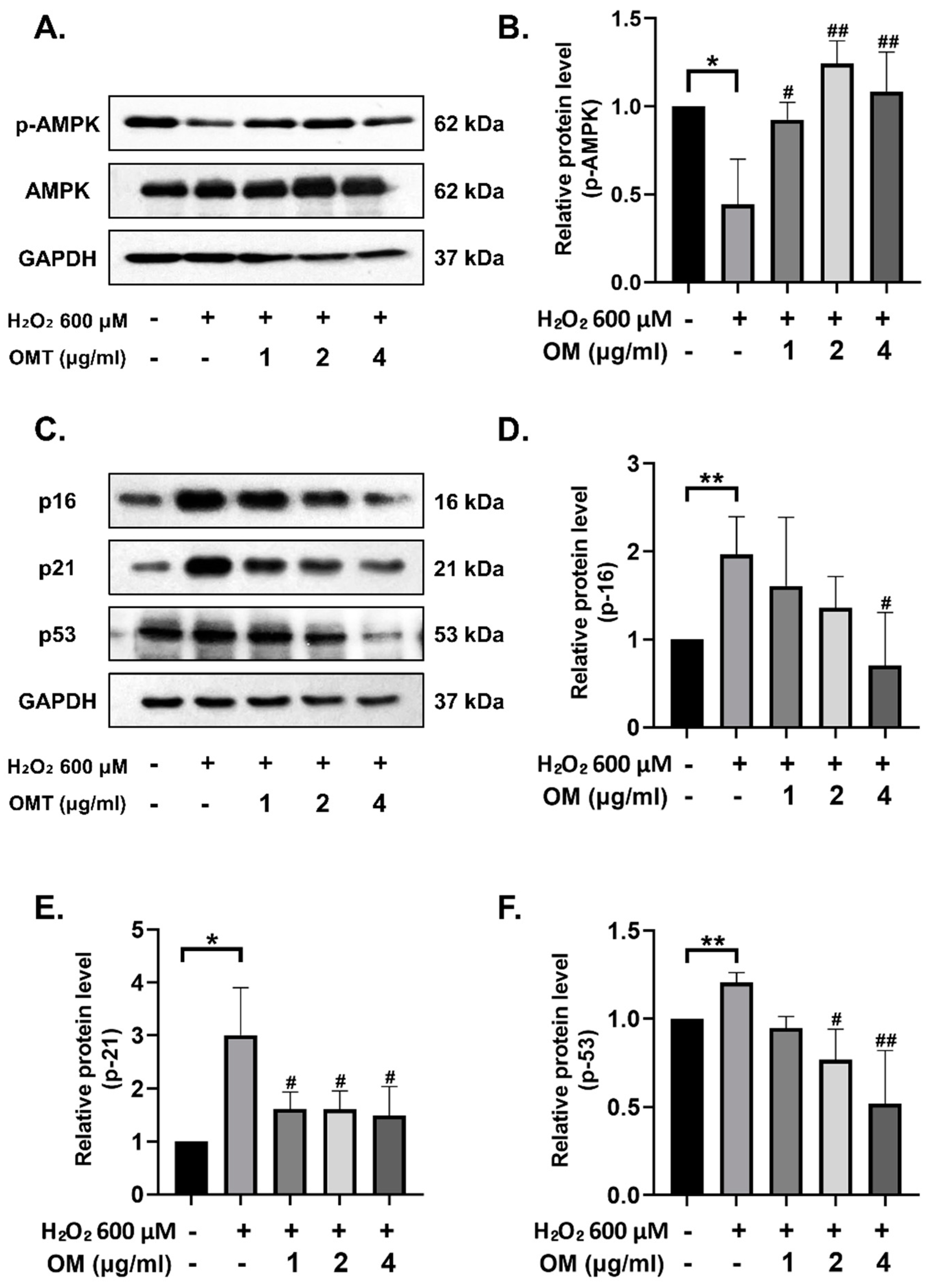 Antioxidants 12 02078 g003