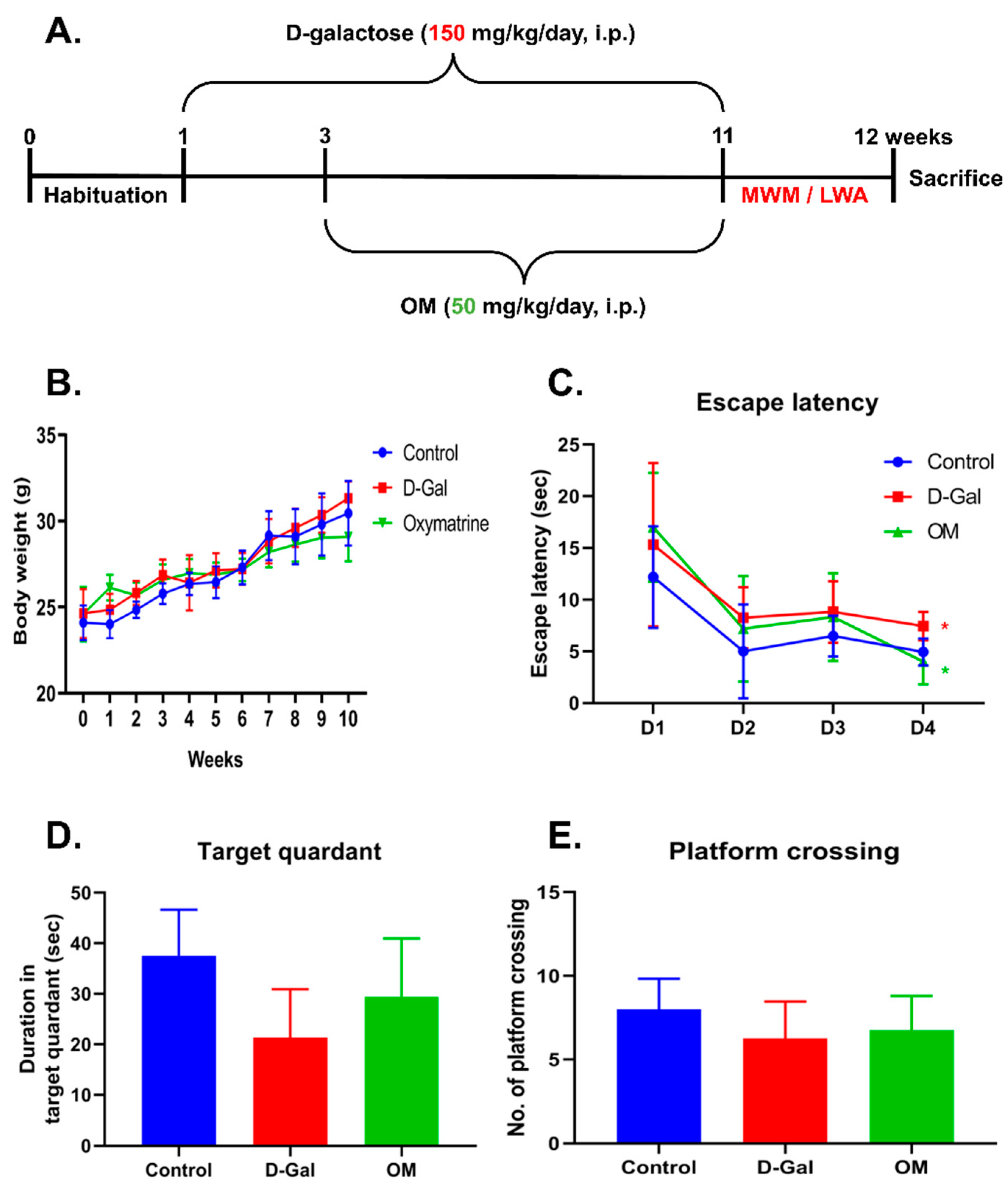 Antioxidants 12 02078 g004
