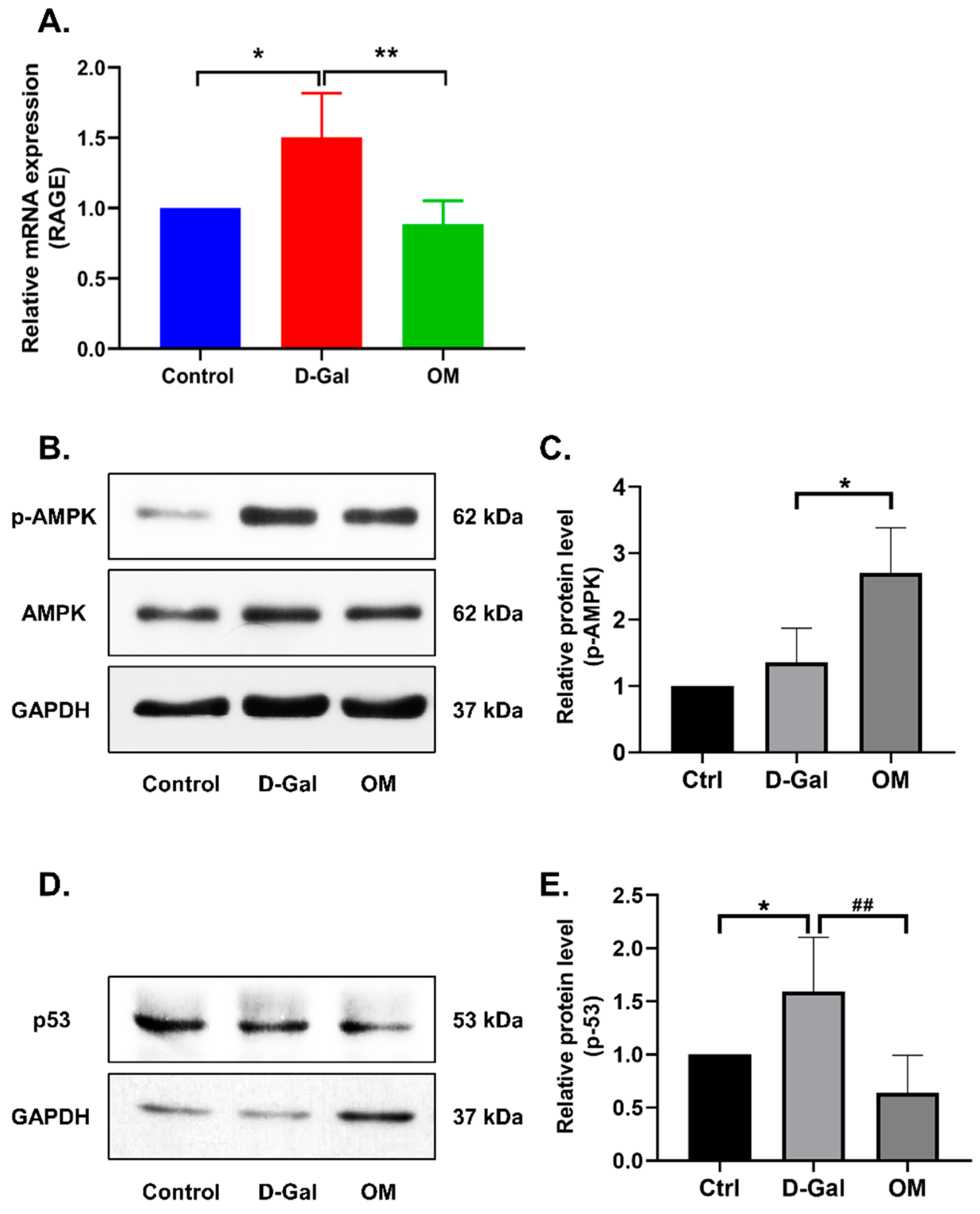 Antioxidants 12 02078 g006