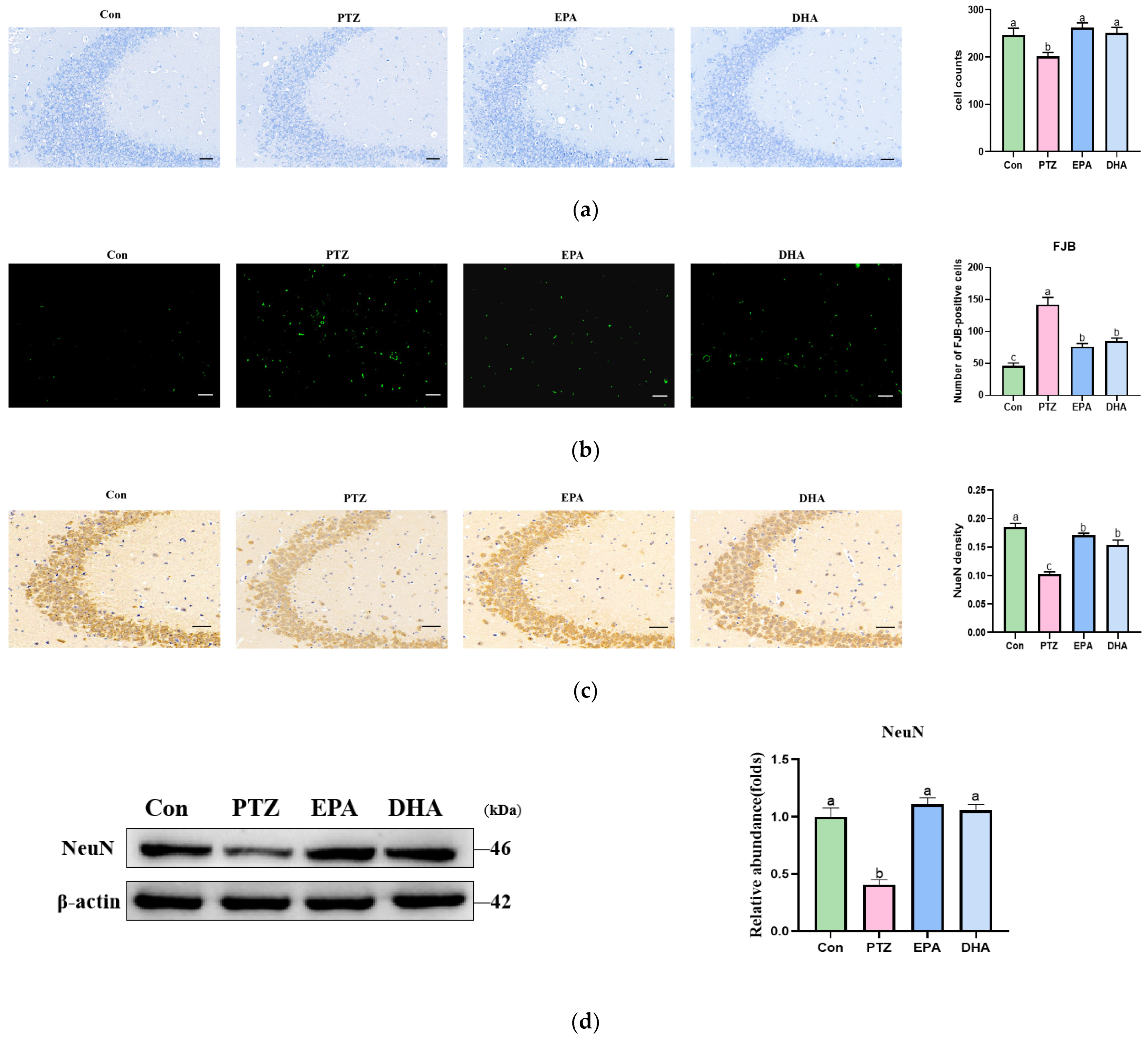 Antioxidants 12 02079 g002