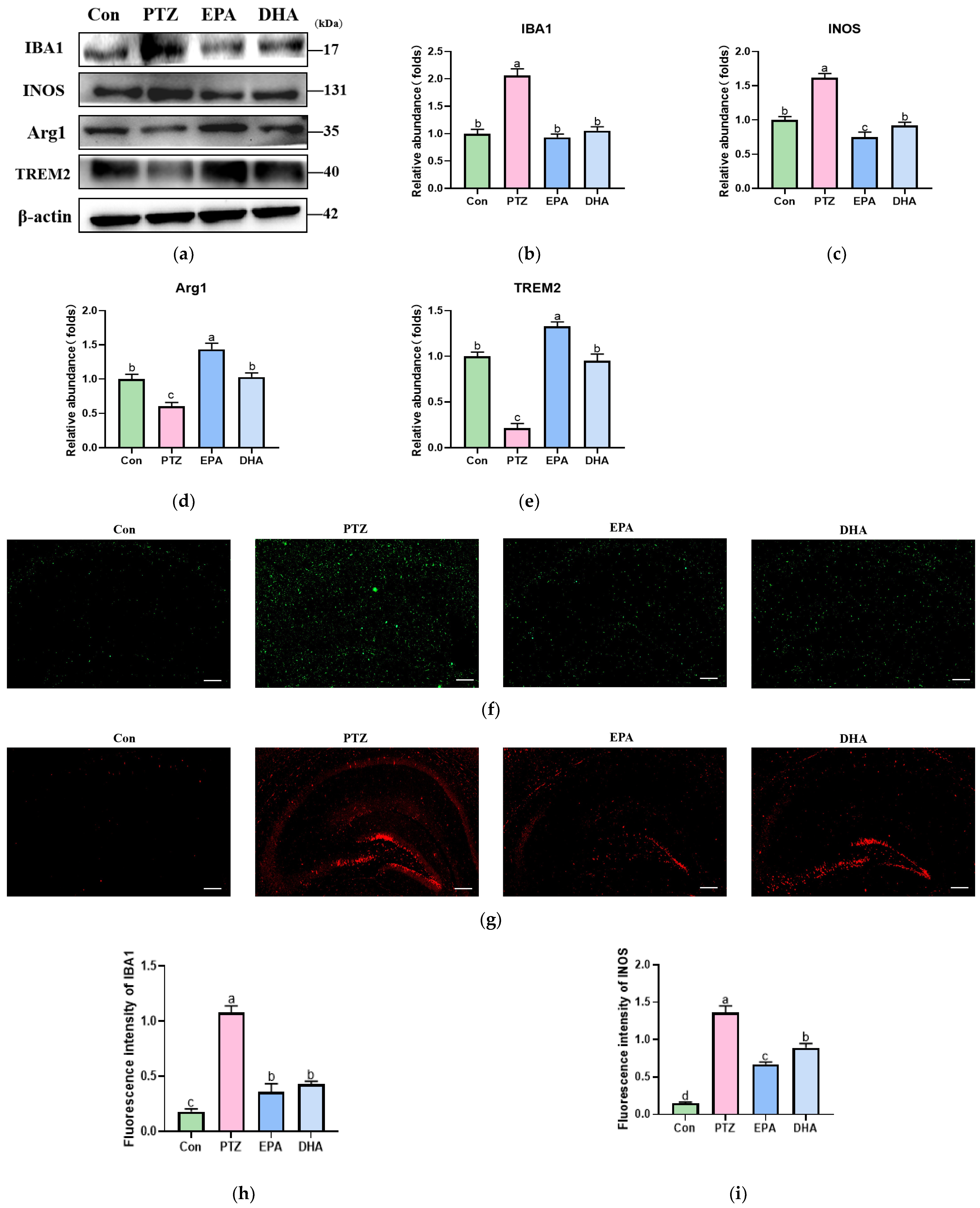 Antioxidants 12 02079 g004
