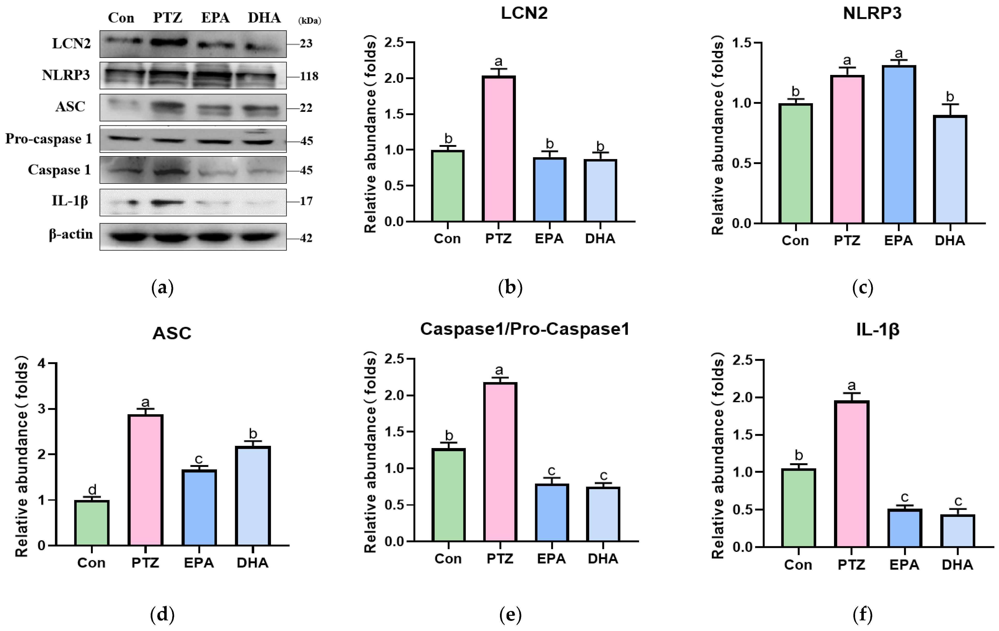 Antioxidants 12 02079 g005