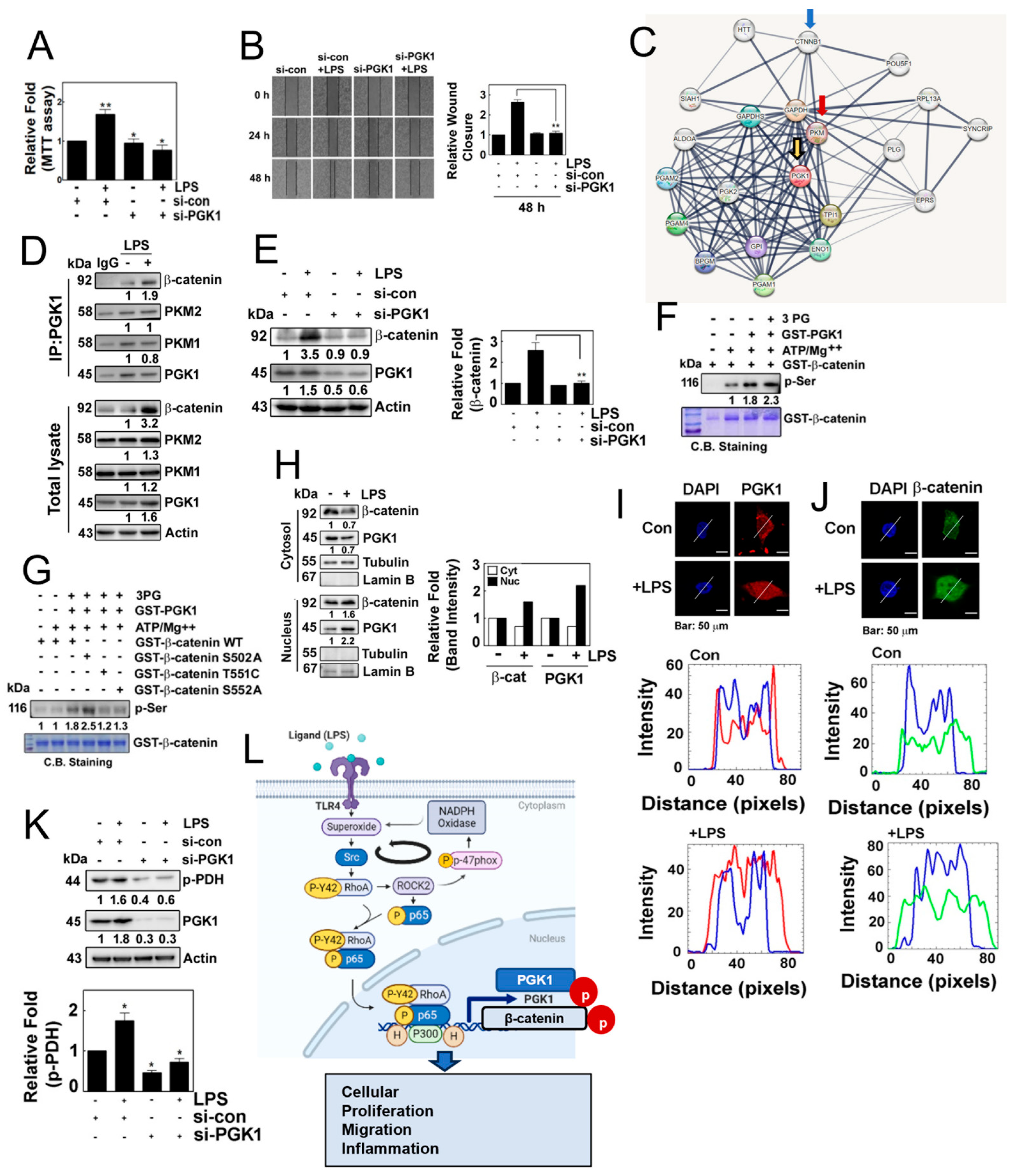 Antioxidants 12 02090 g006