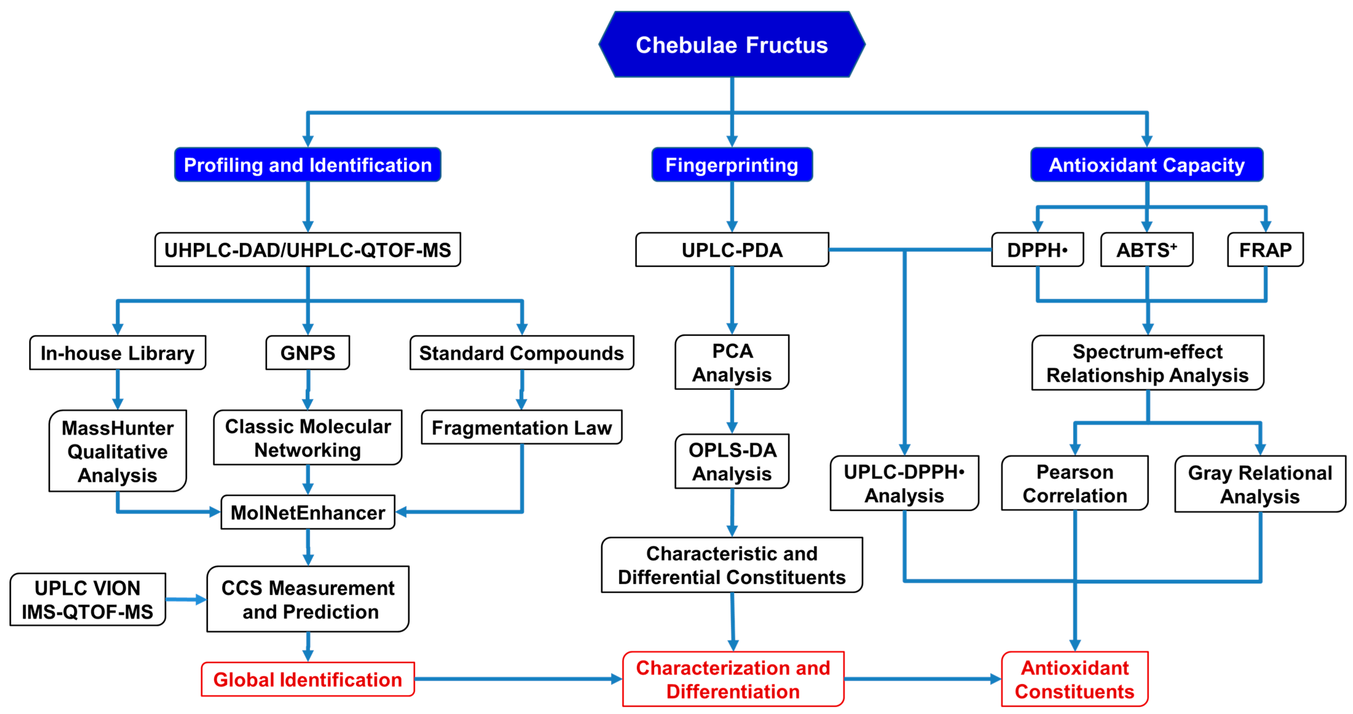 Antioxidants 12 02093 g001