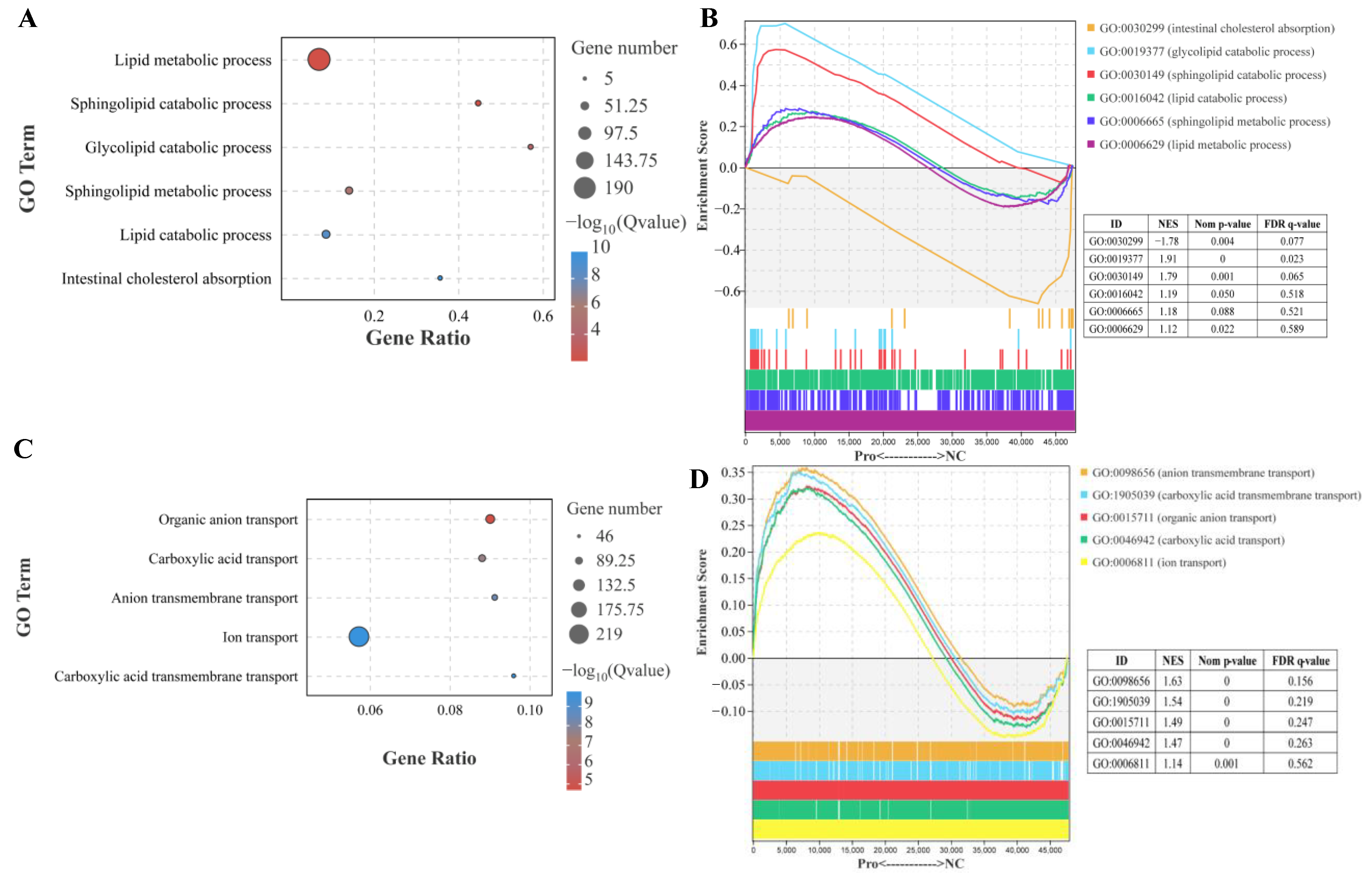 Antioxidants 12 02095 g003