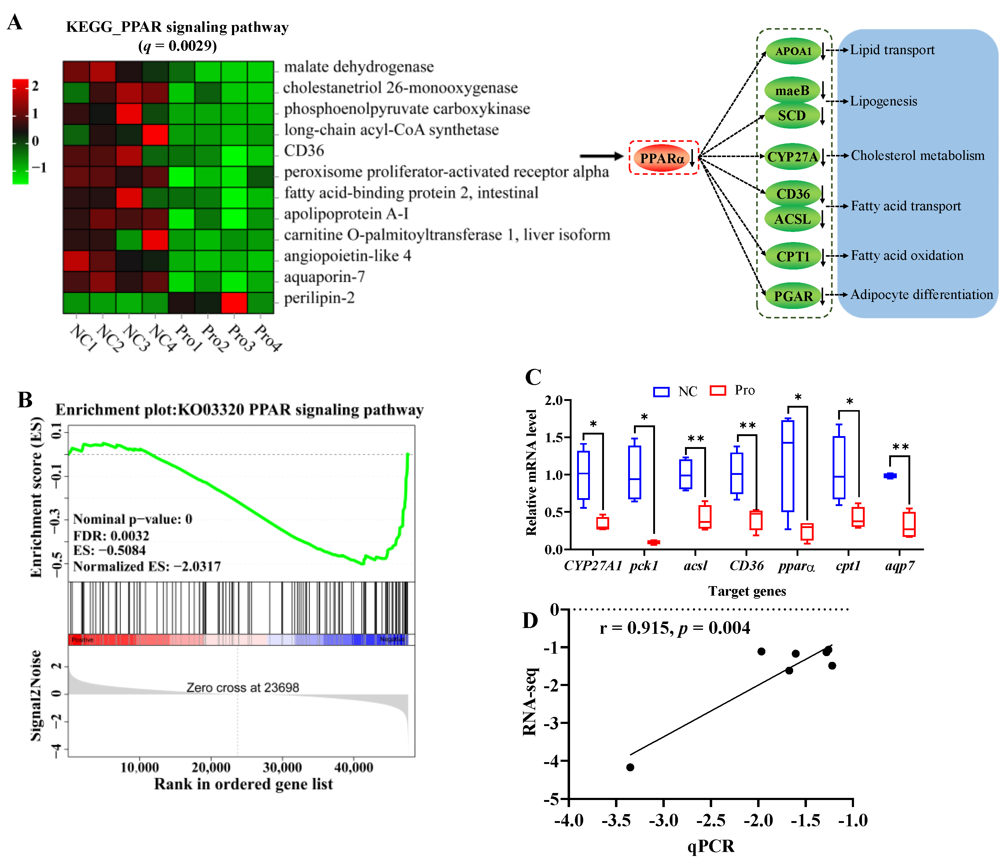 Antioxidants 12 02095 g005