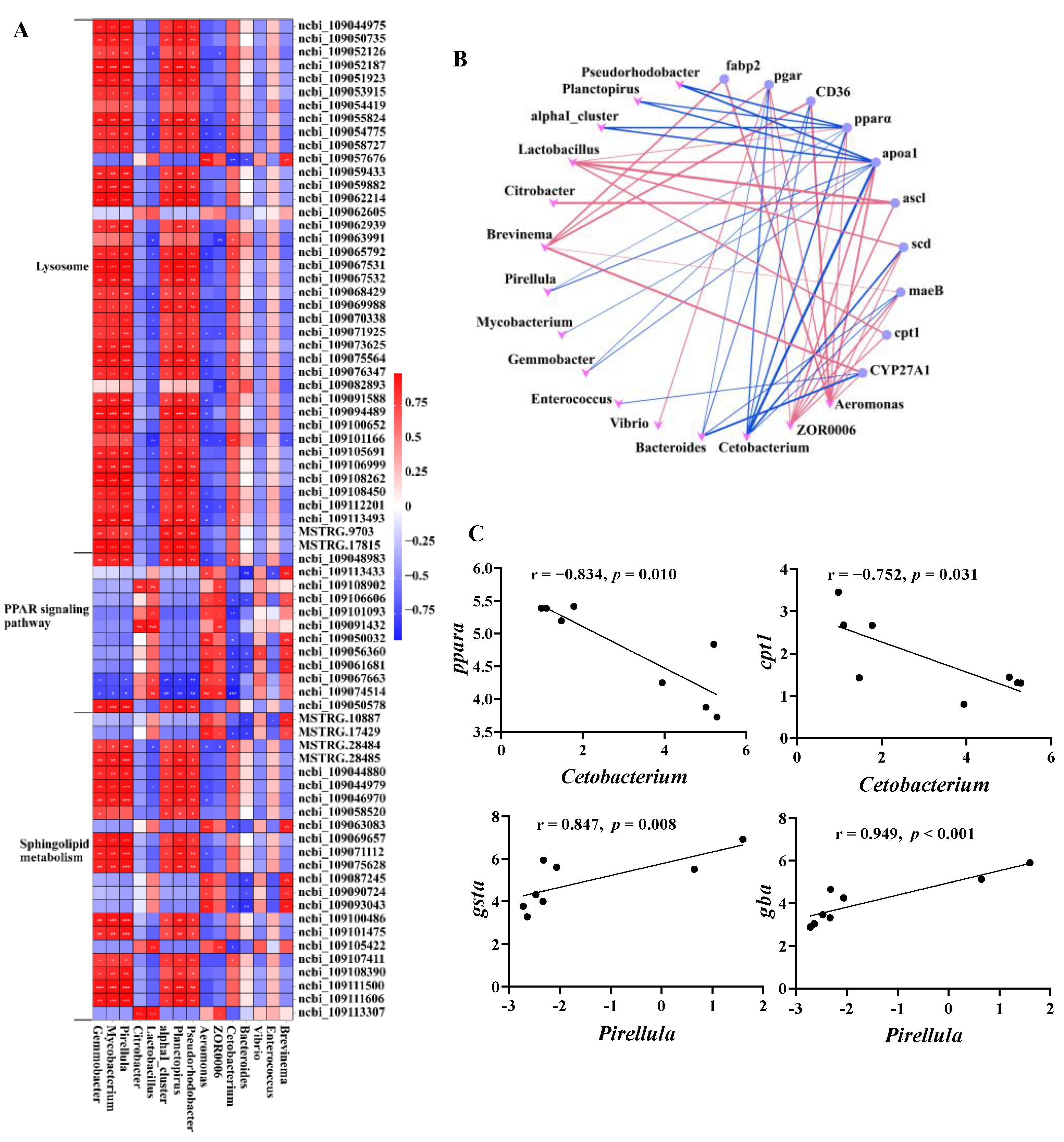 Antioxidants 12 02095 g009