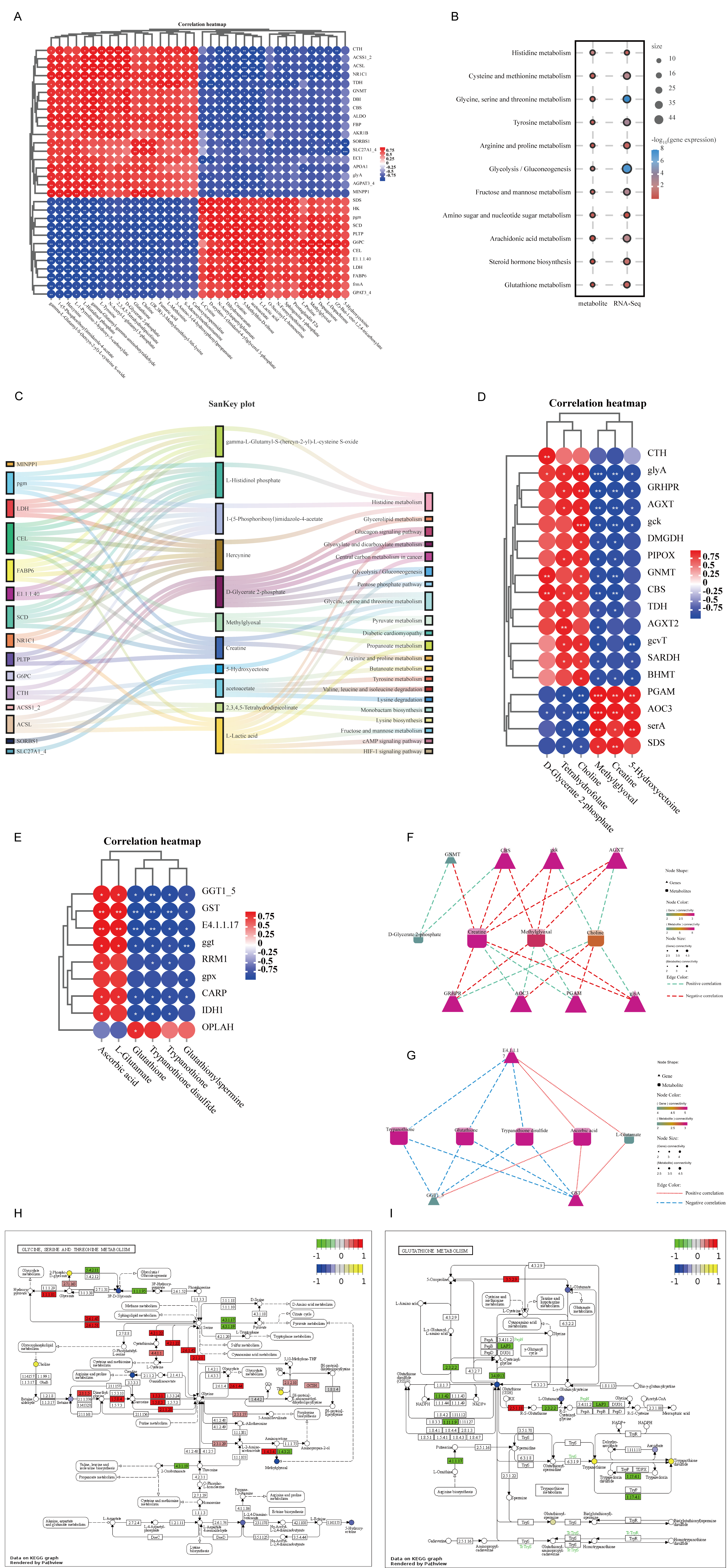 Antioxidants 12 02096 g006