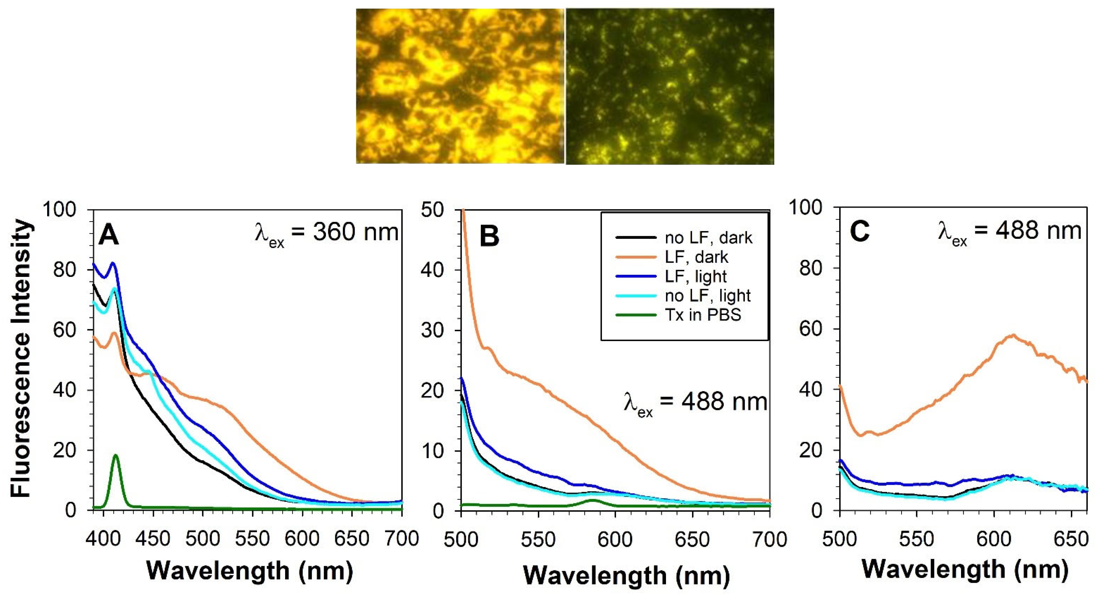 Antioxidants 12 02111 g009 Antioxidants 12 02111 g009