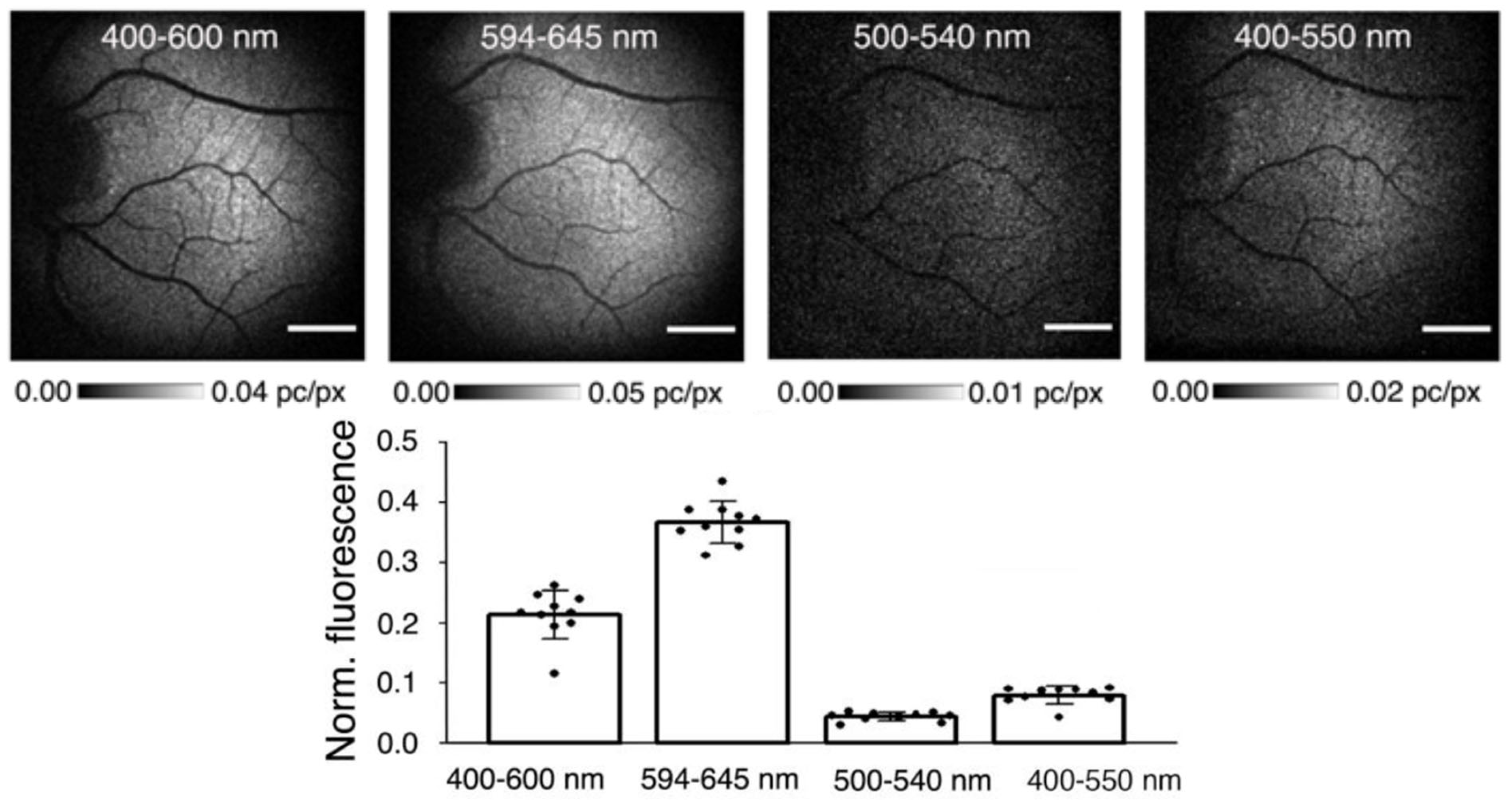 Antioxidants 12 02111 g010 Antioxidants 12 02111 g010