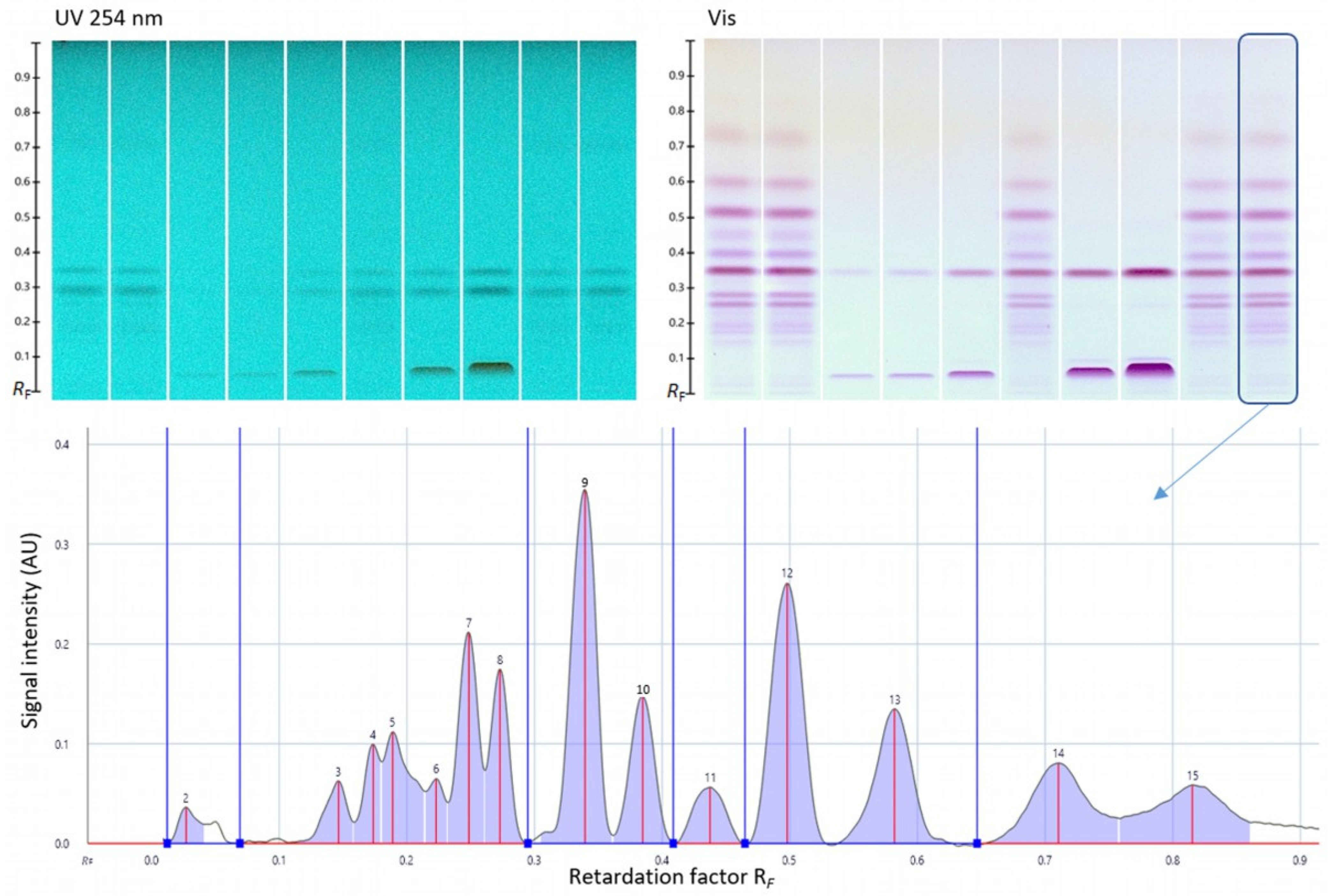 Antioxidants 12 02121 g009