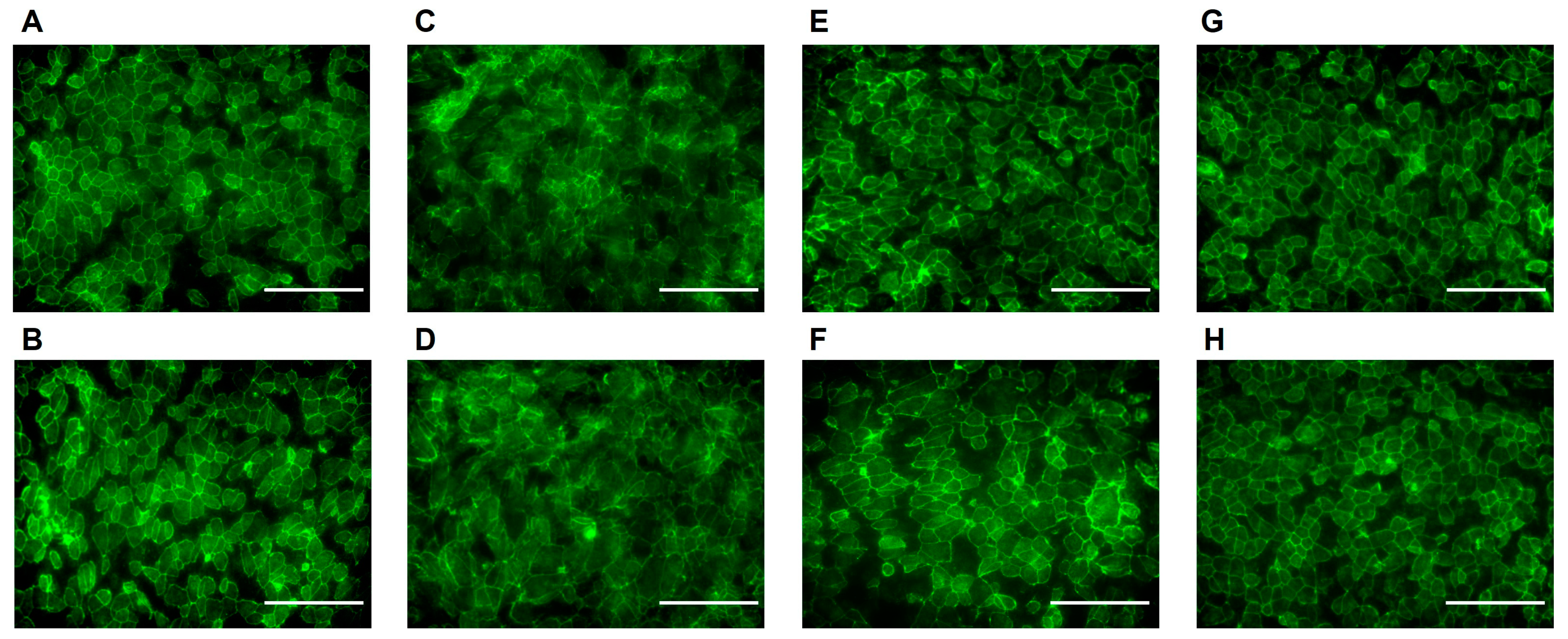Antioxidants 12 02129 g002
