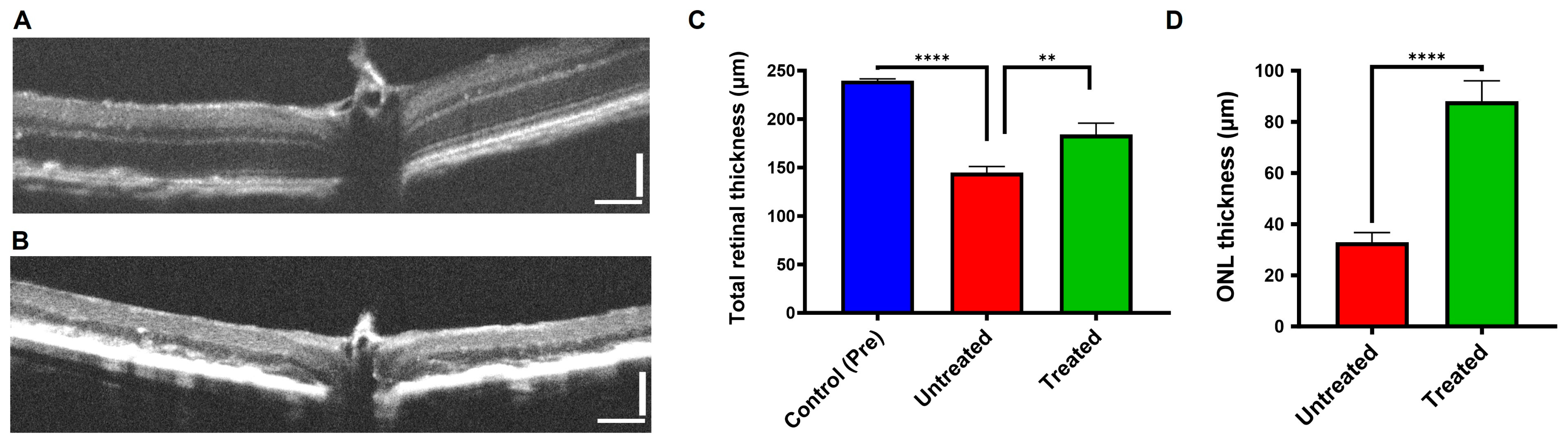 Antioxidants 12 02129 g003