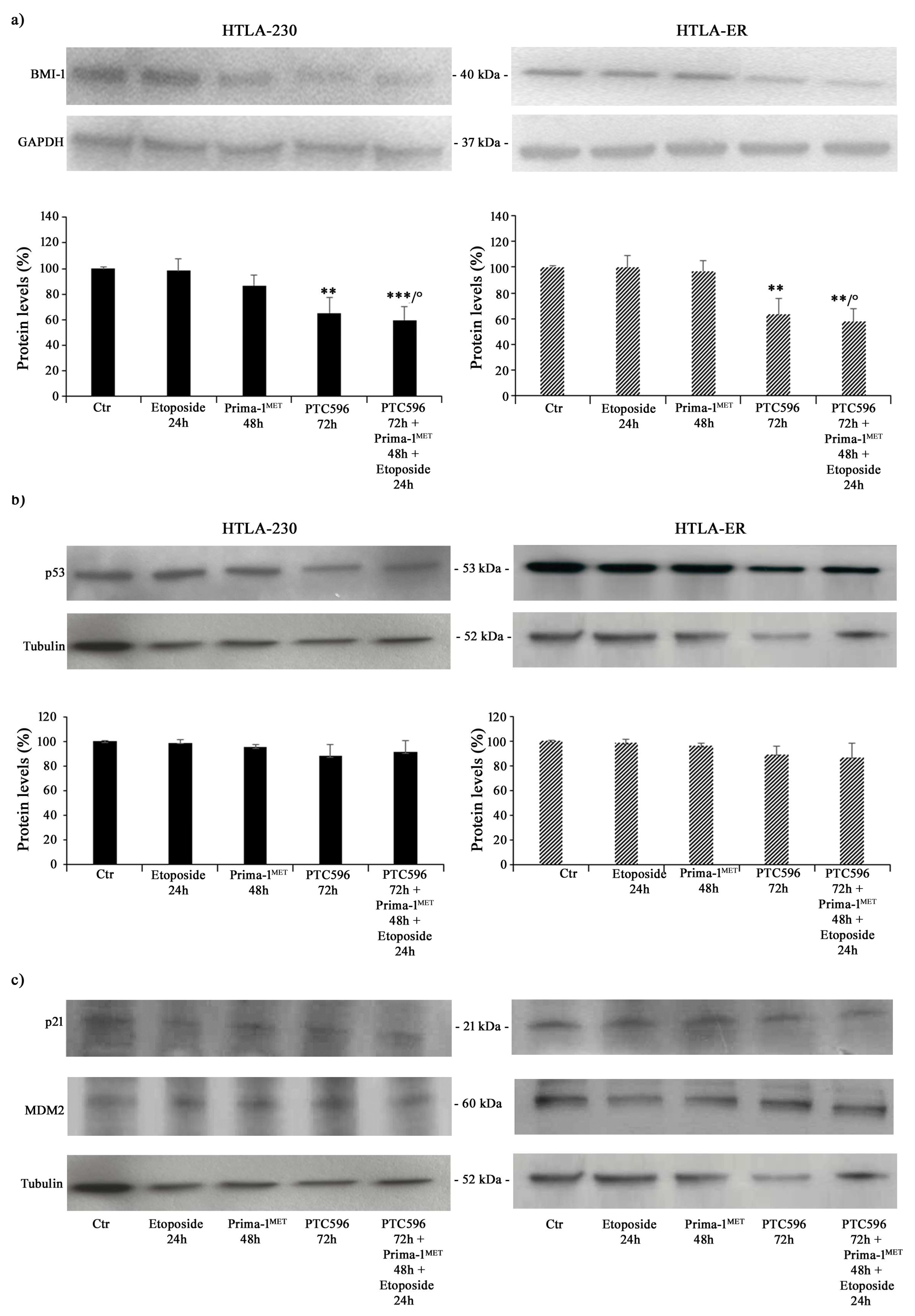 Antioxidants 13 00003 g004