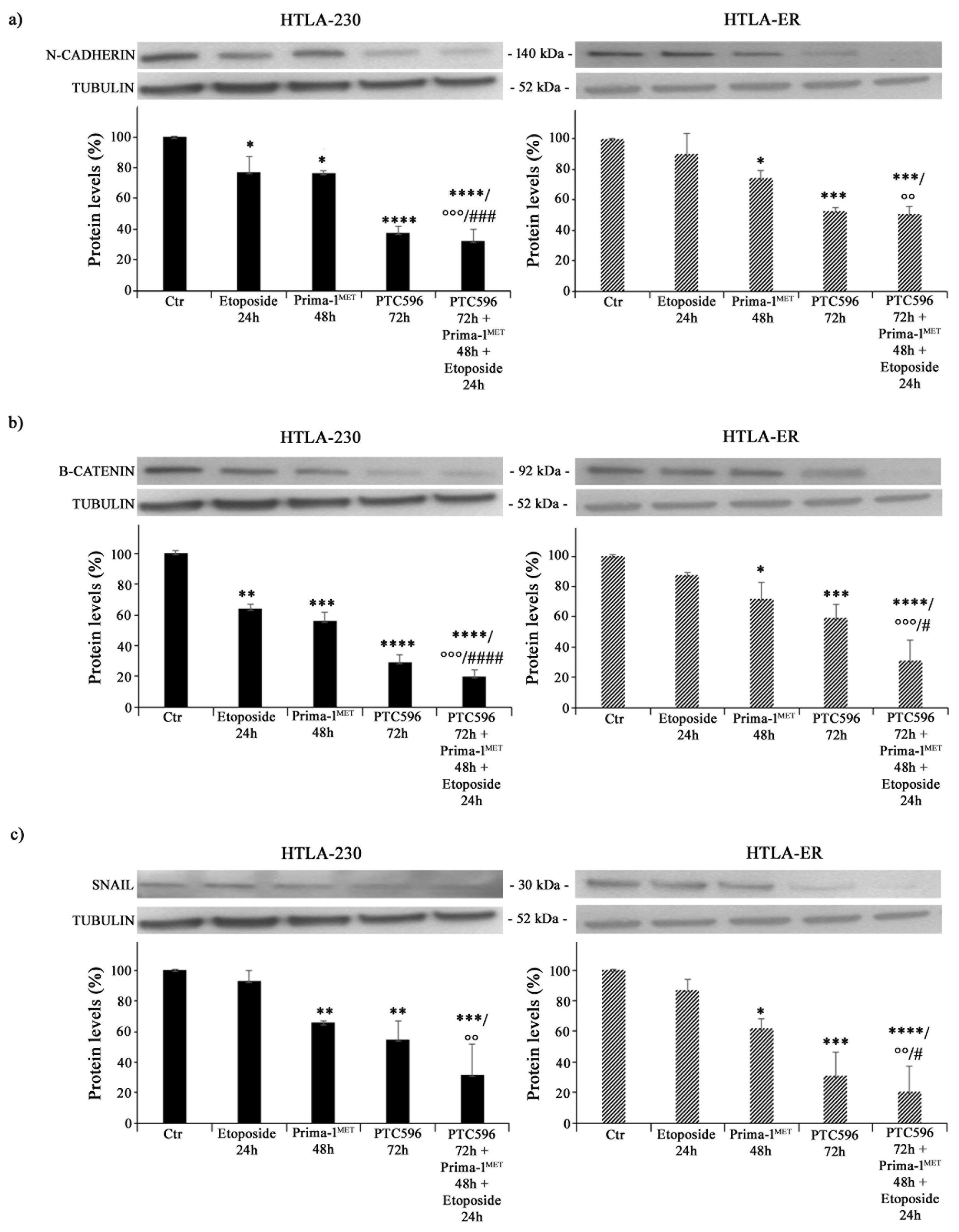 Antioxidants 13 00003 g007
