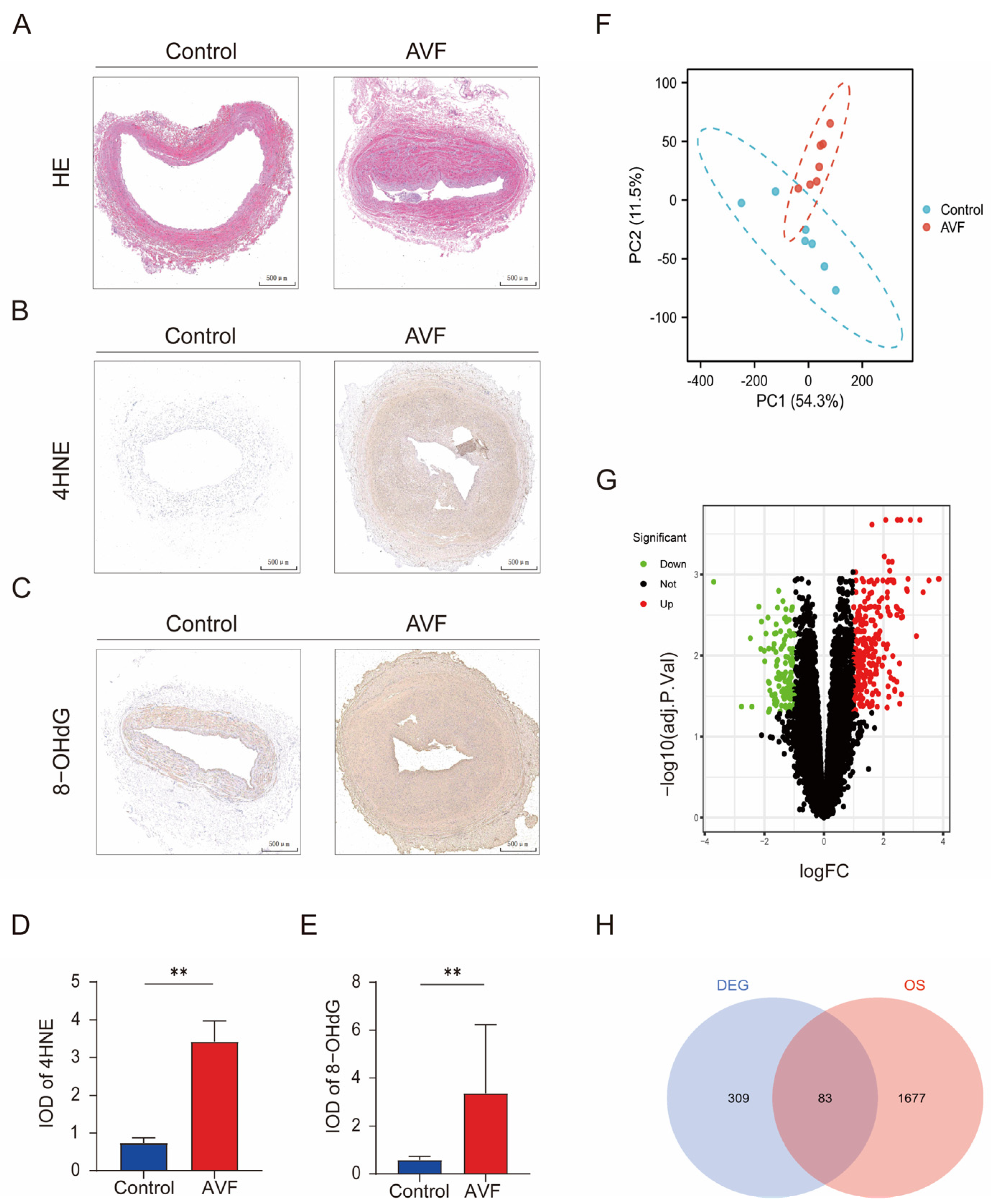 Antioxidants 13 00005 g001