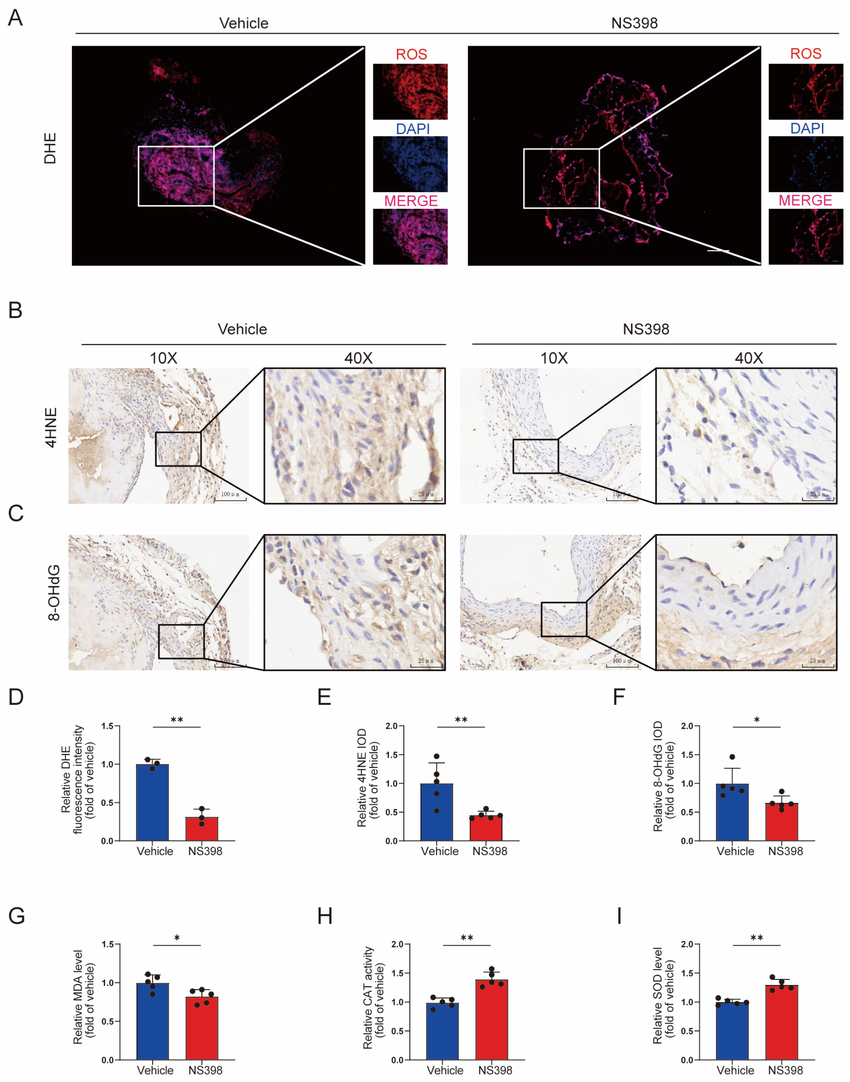 Antioxidants 13 00005 g008