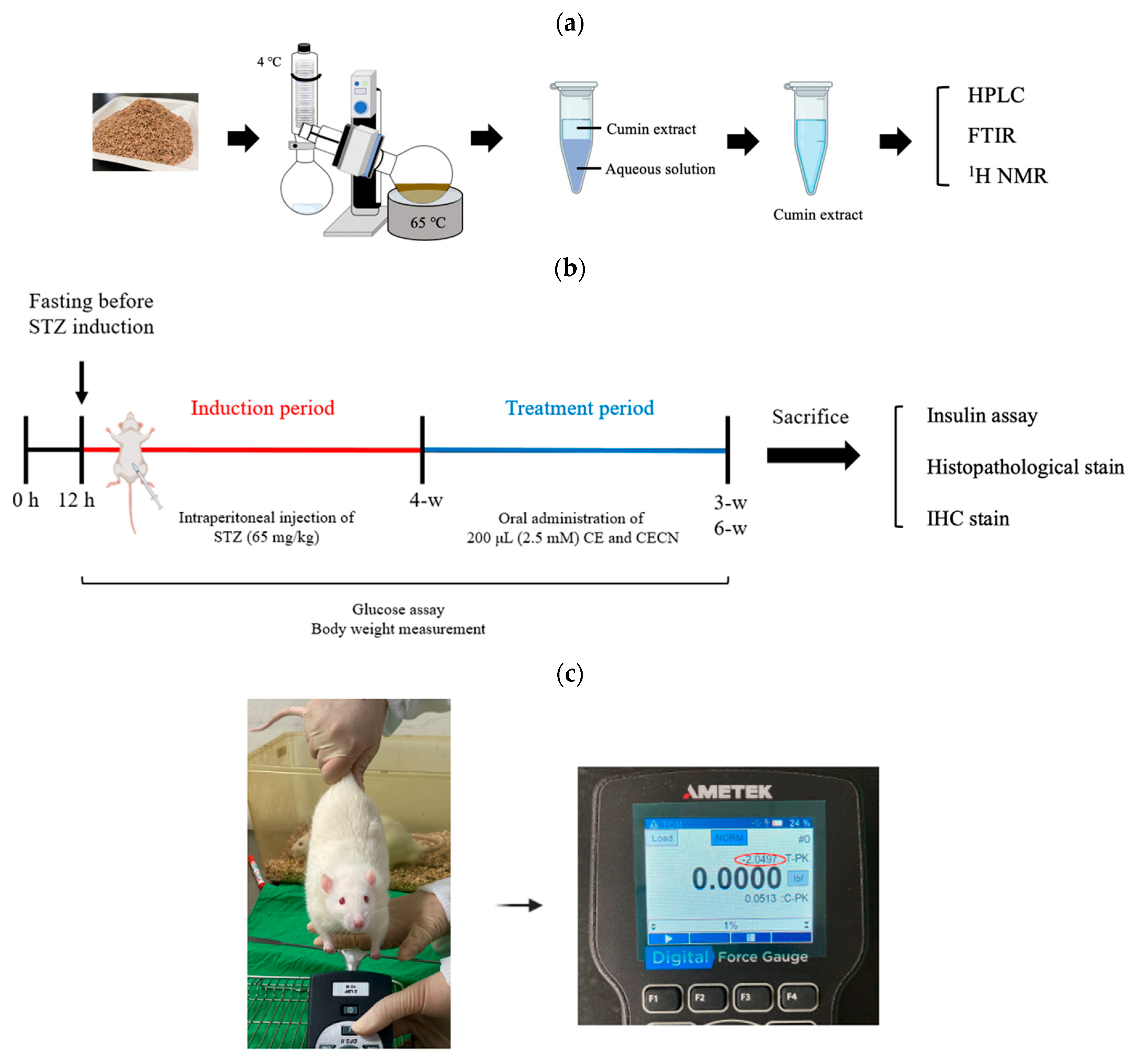 Antioxidants 13 00006 g001