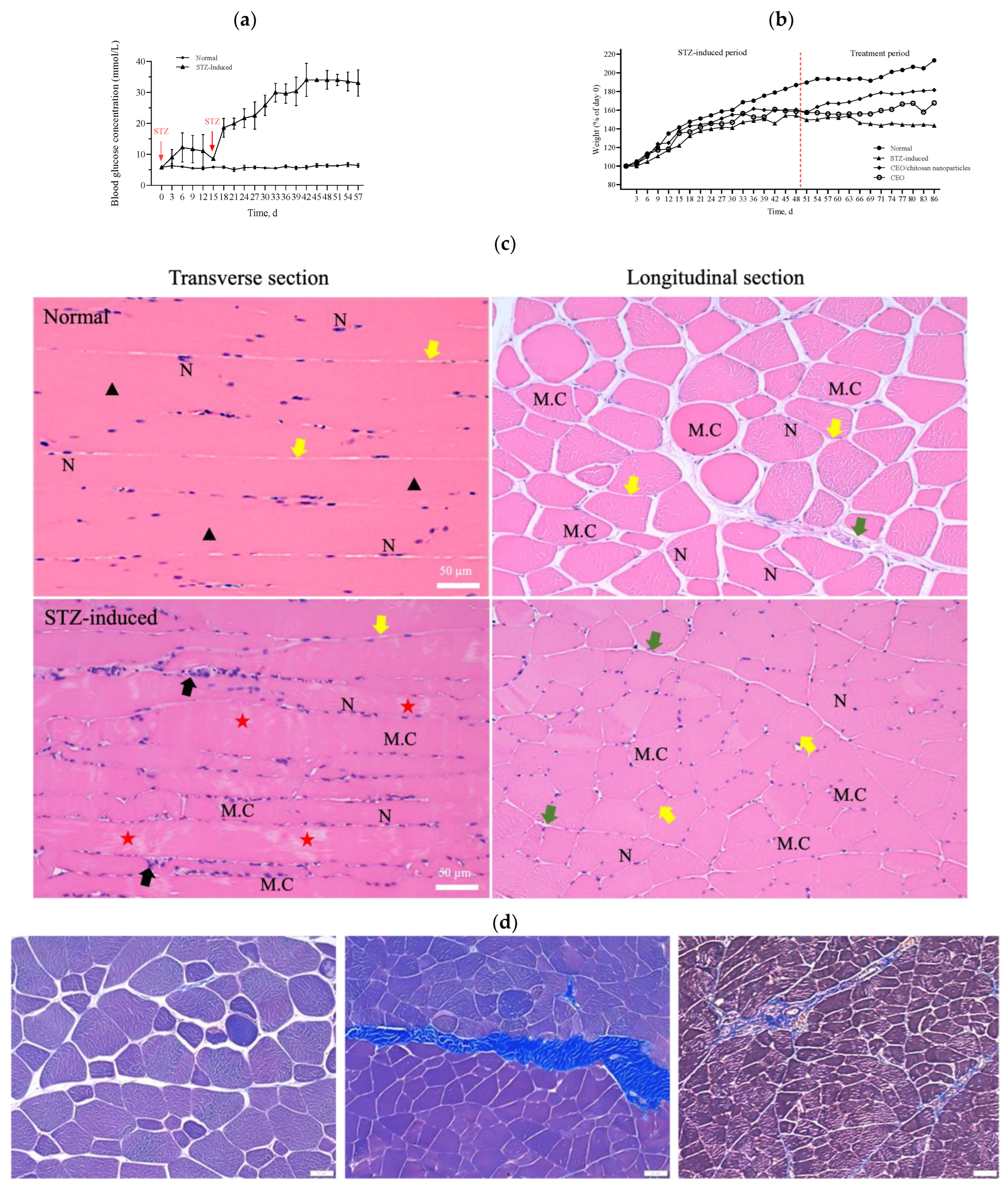 Antioxidants 13 00006 g005a