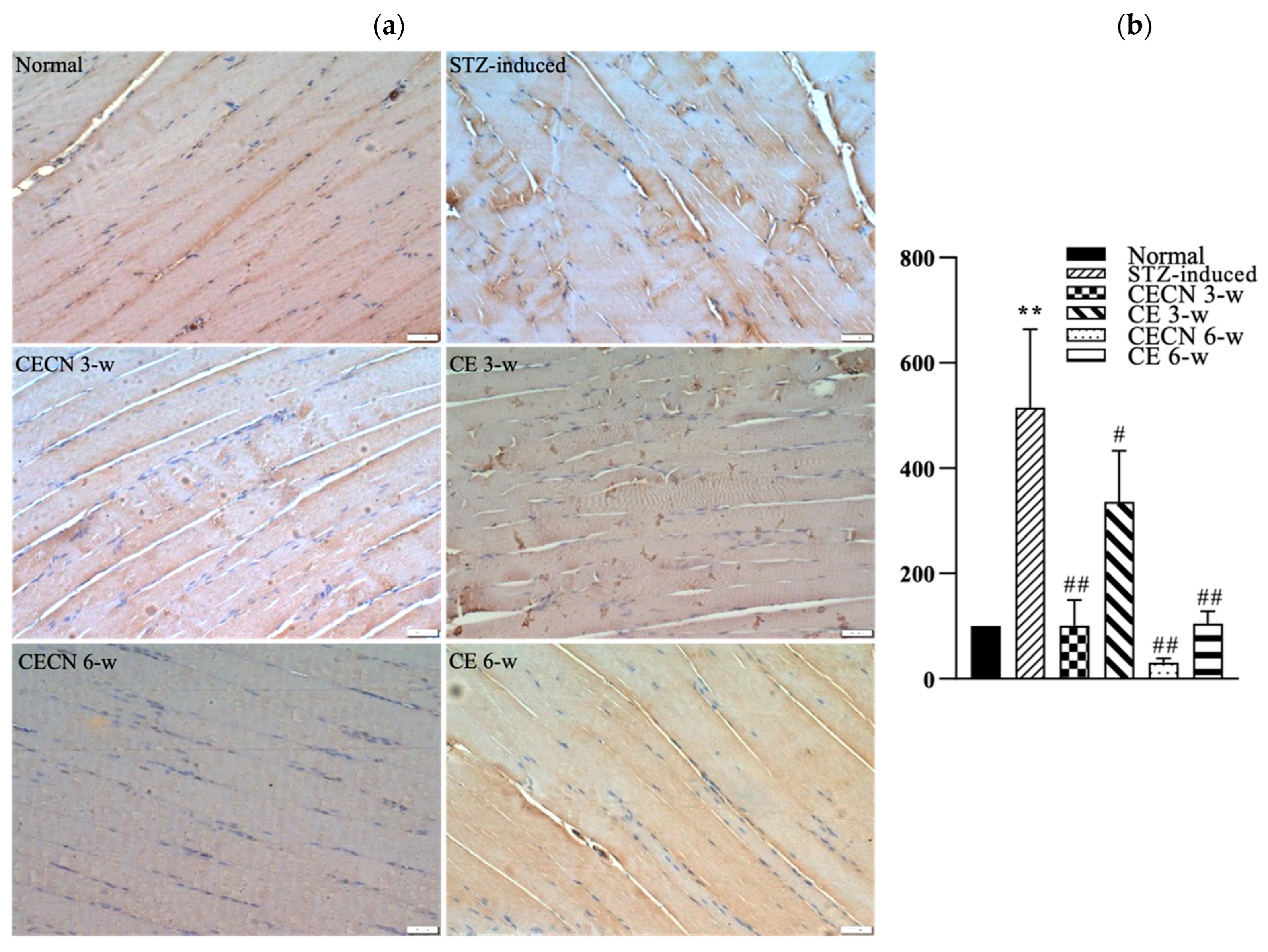 Antioxidants 13 00006 g008