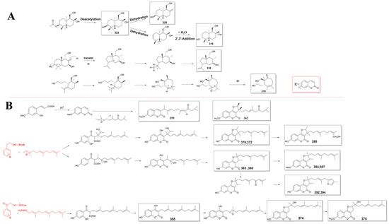 Antioxidants 13 00007 g007