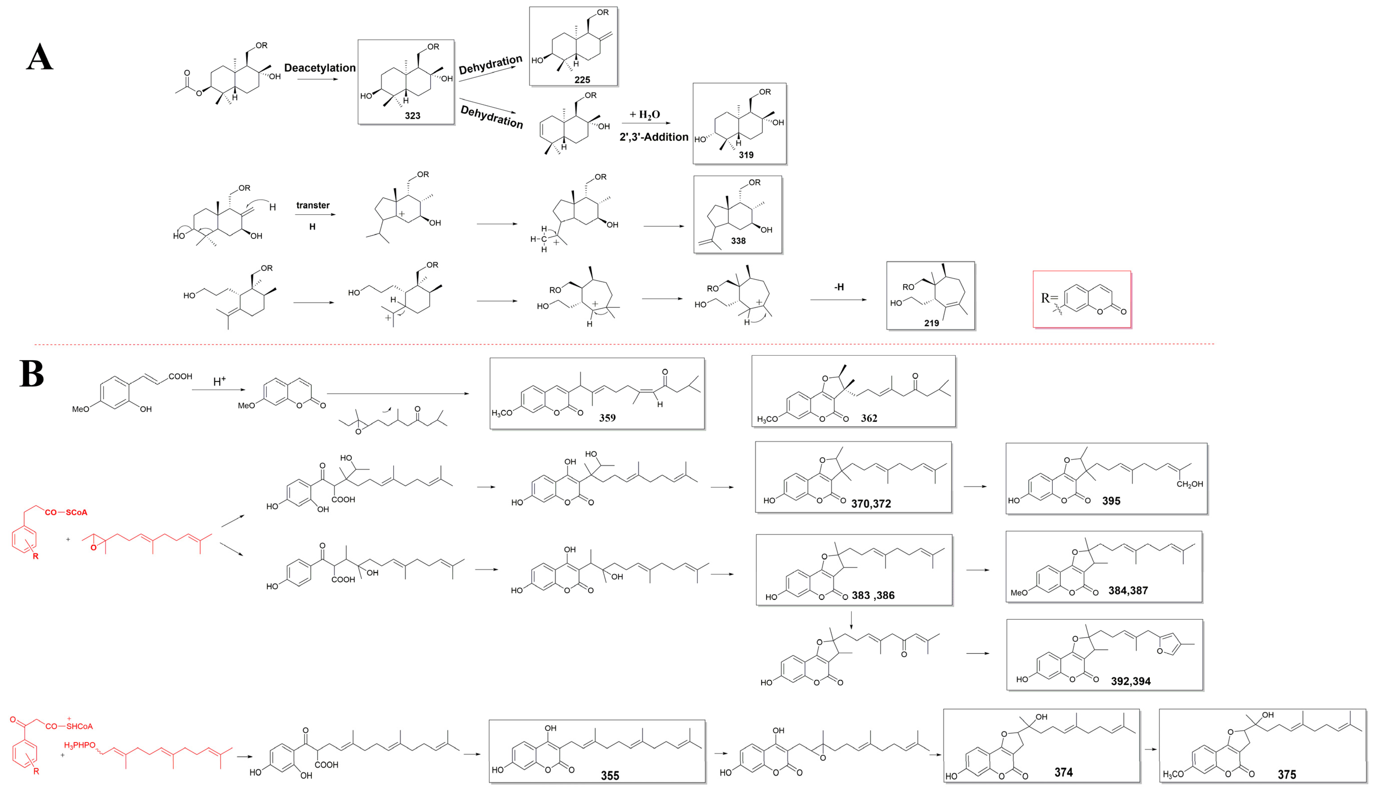 Antioxidants 13 00007 g007