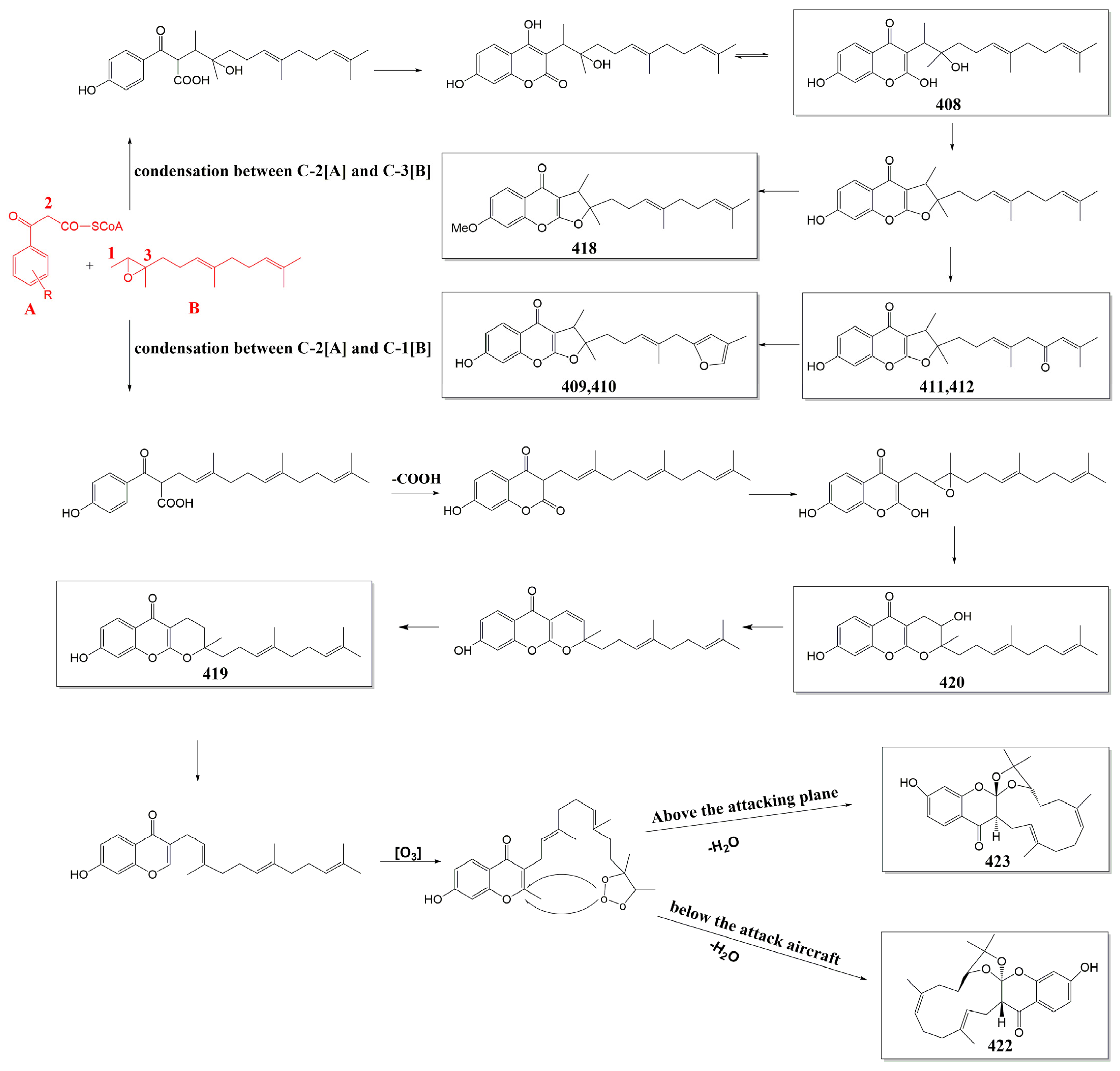 Antioxidants 13 00007 g008