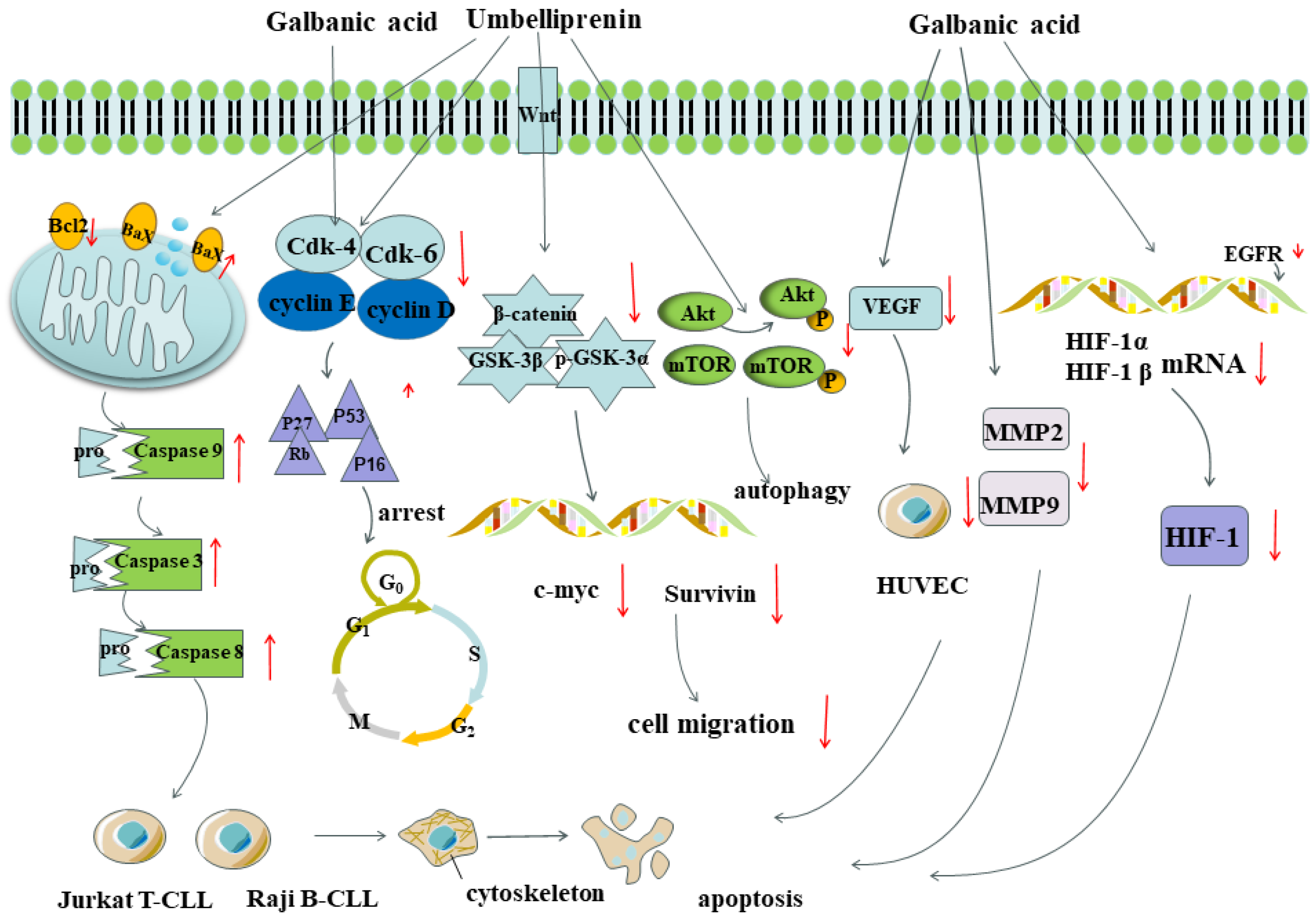 Antioxidants 13 00007 g010