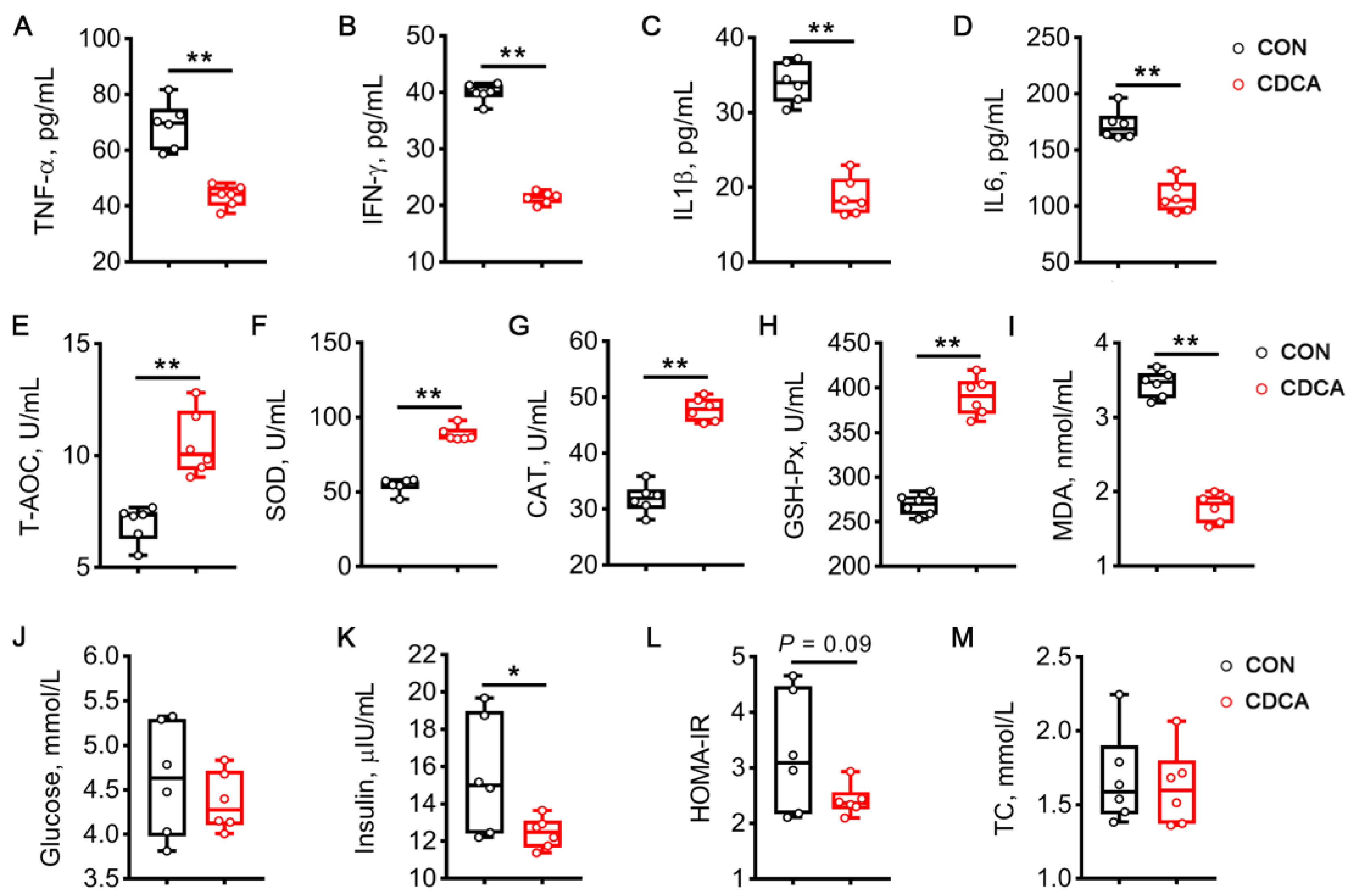 Antioxidants 13 00008 g011